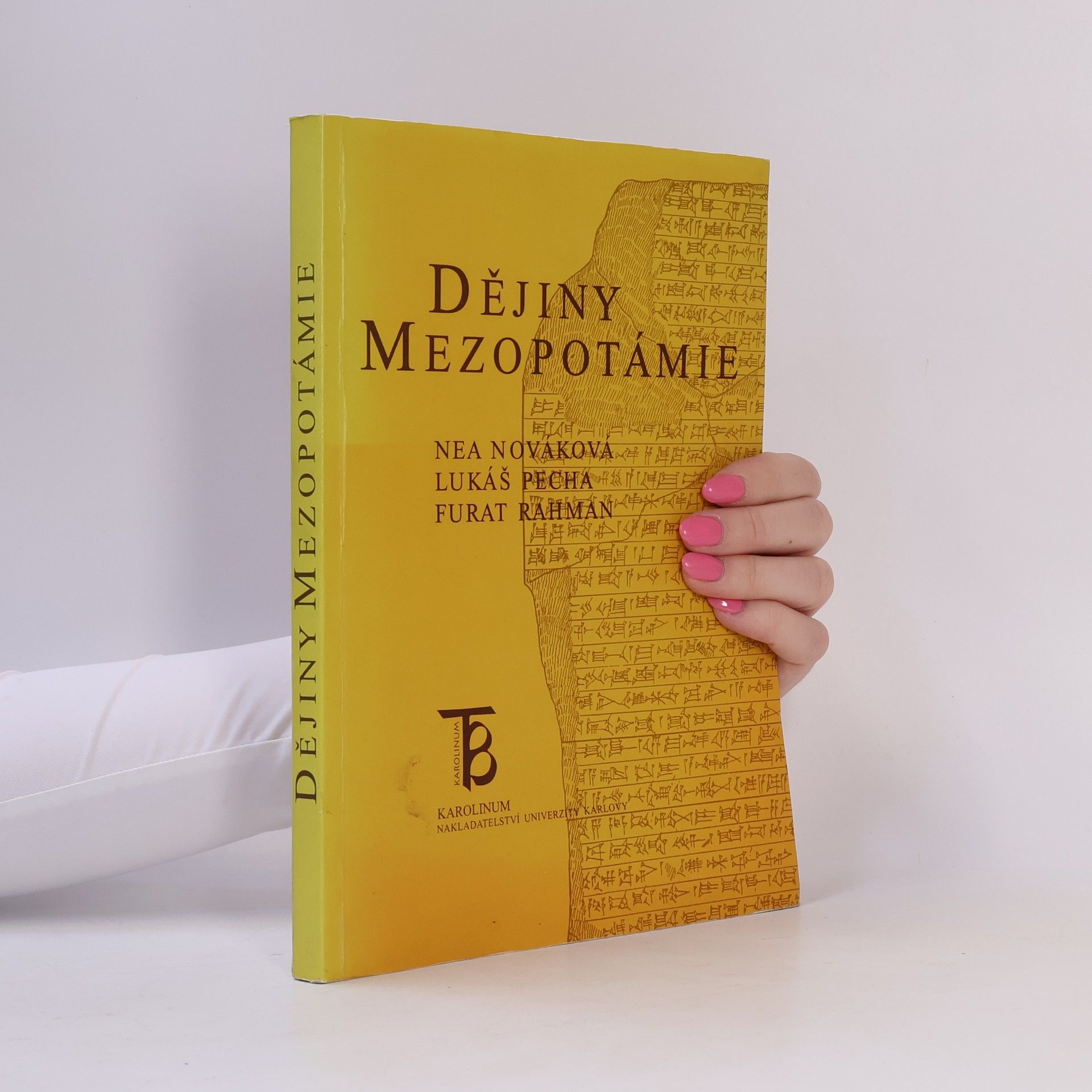 Nea Nováková Dějiny Mezopotámie