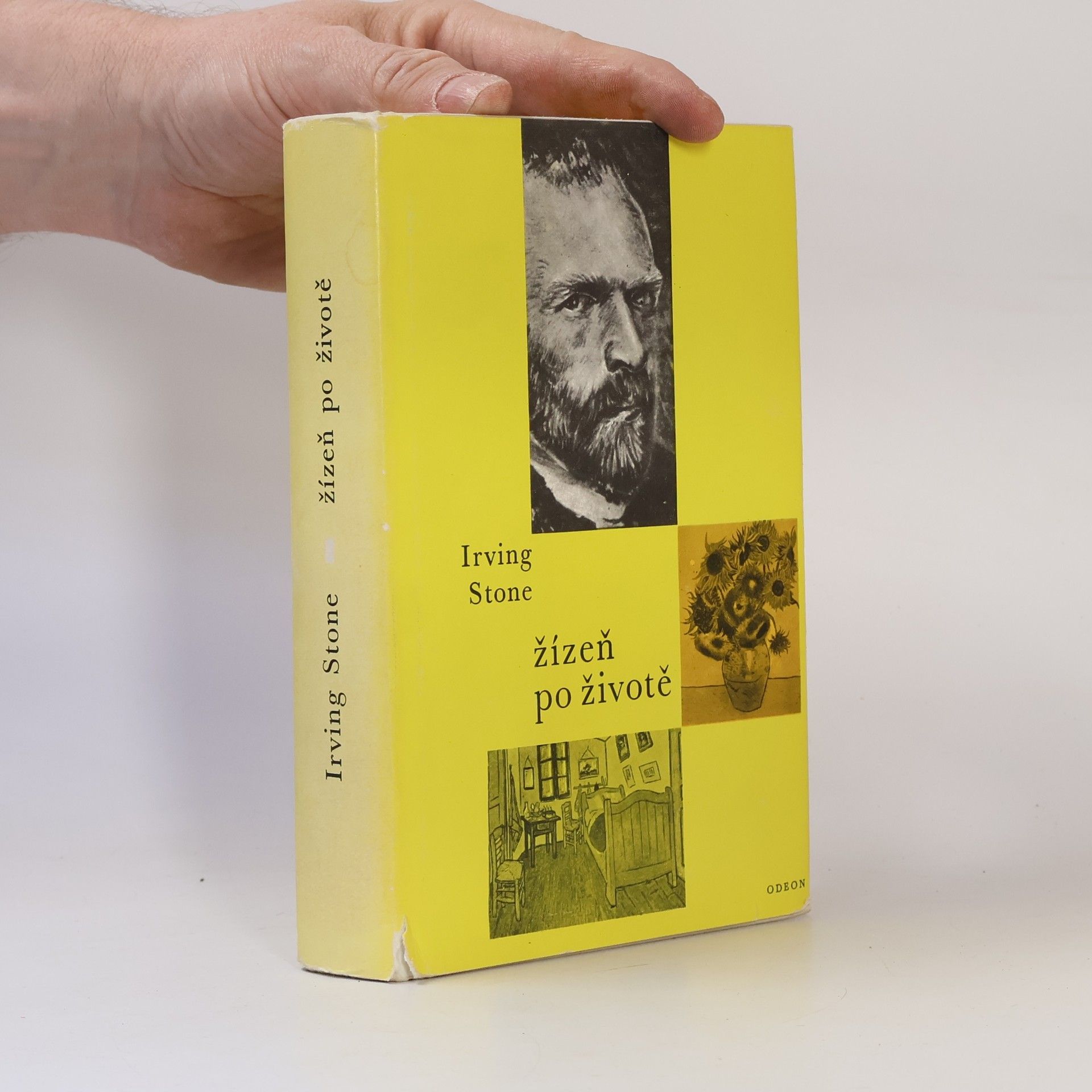 Irving Stone Žízeň po životě