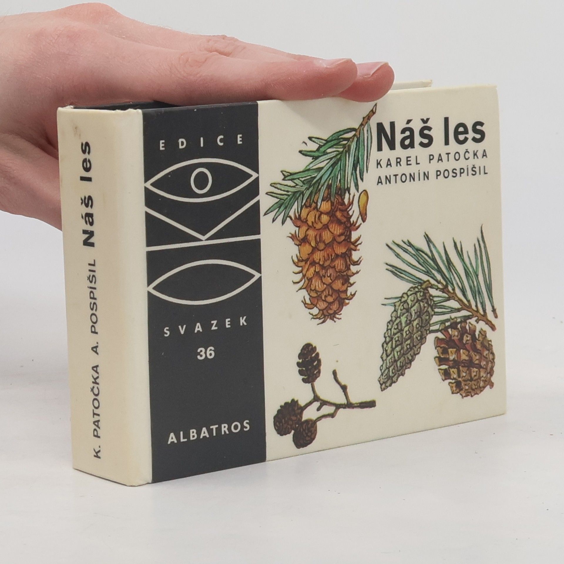 Karel Patočka Náš les