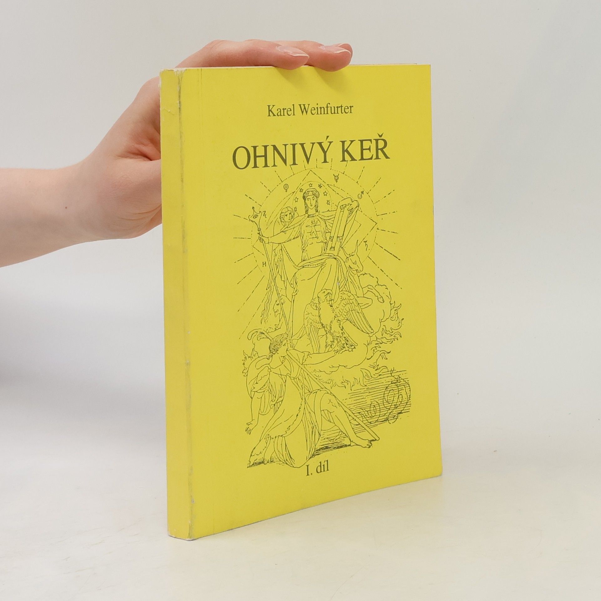 Karel Weinfurter Ohnivý keř. Odhalená cesta mystická. 1. díl