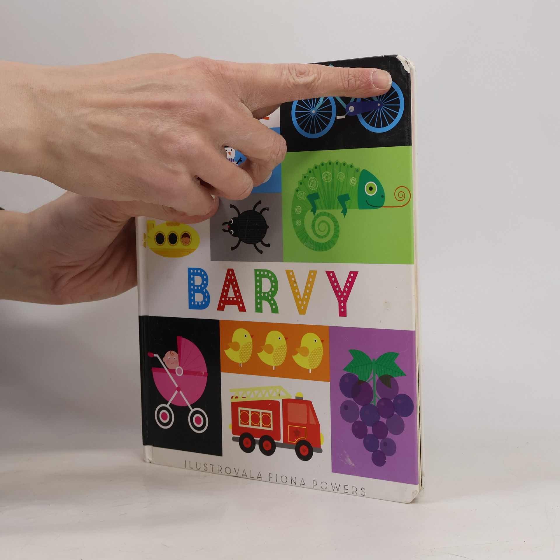 Fiona Powers Barvy