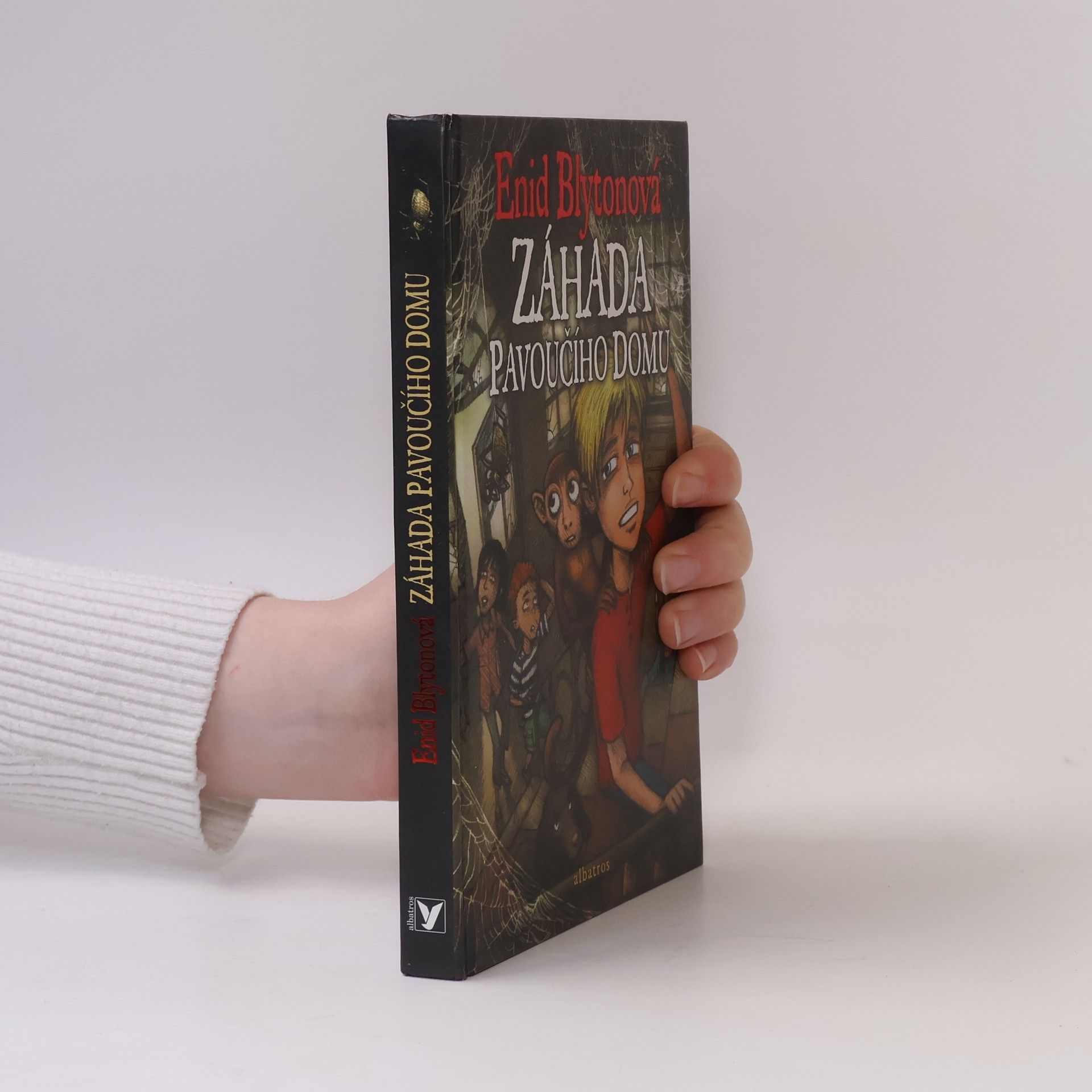 Enid Blyton Záhada Pavoučího domu