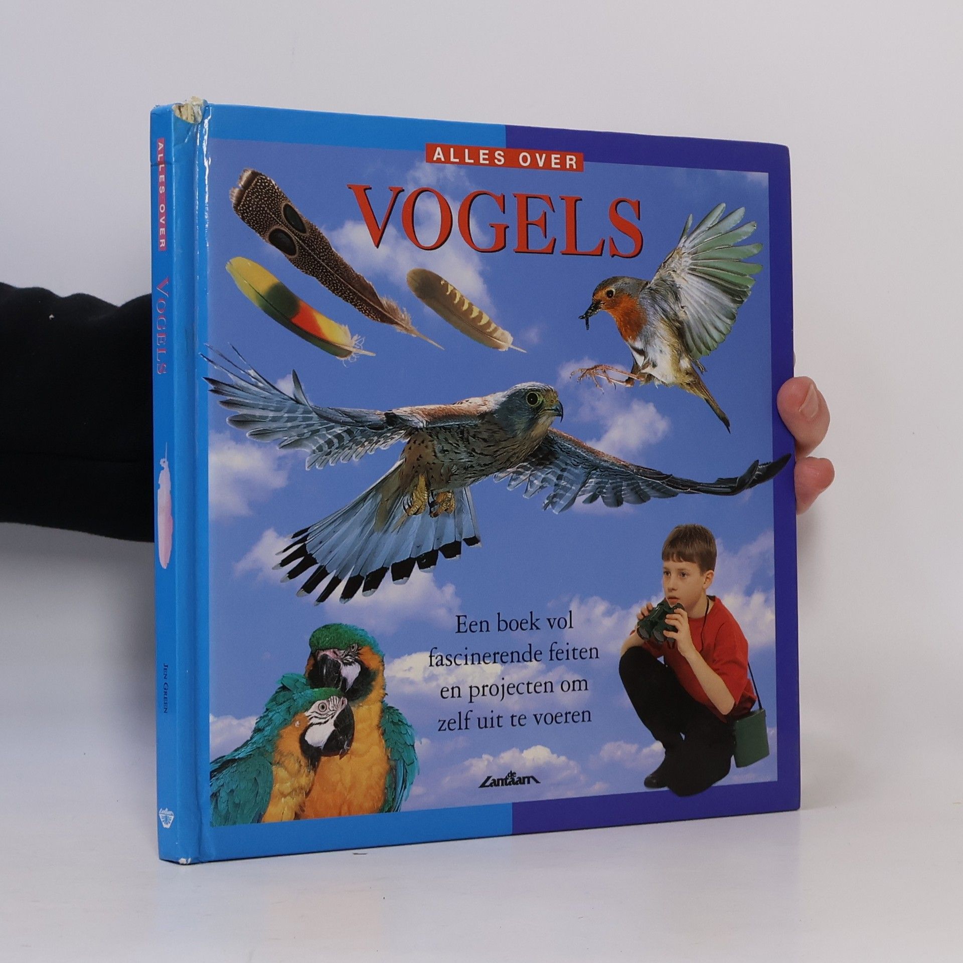 Alles over vogels