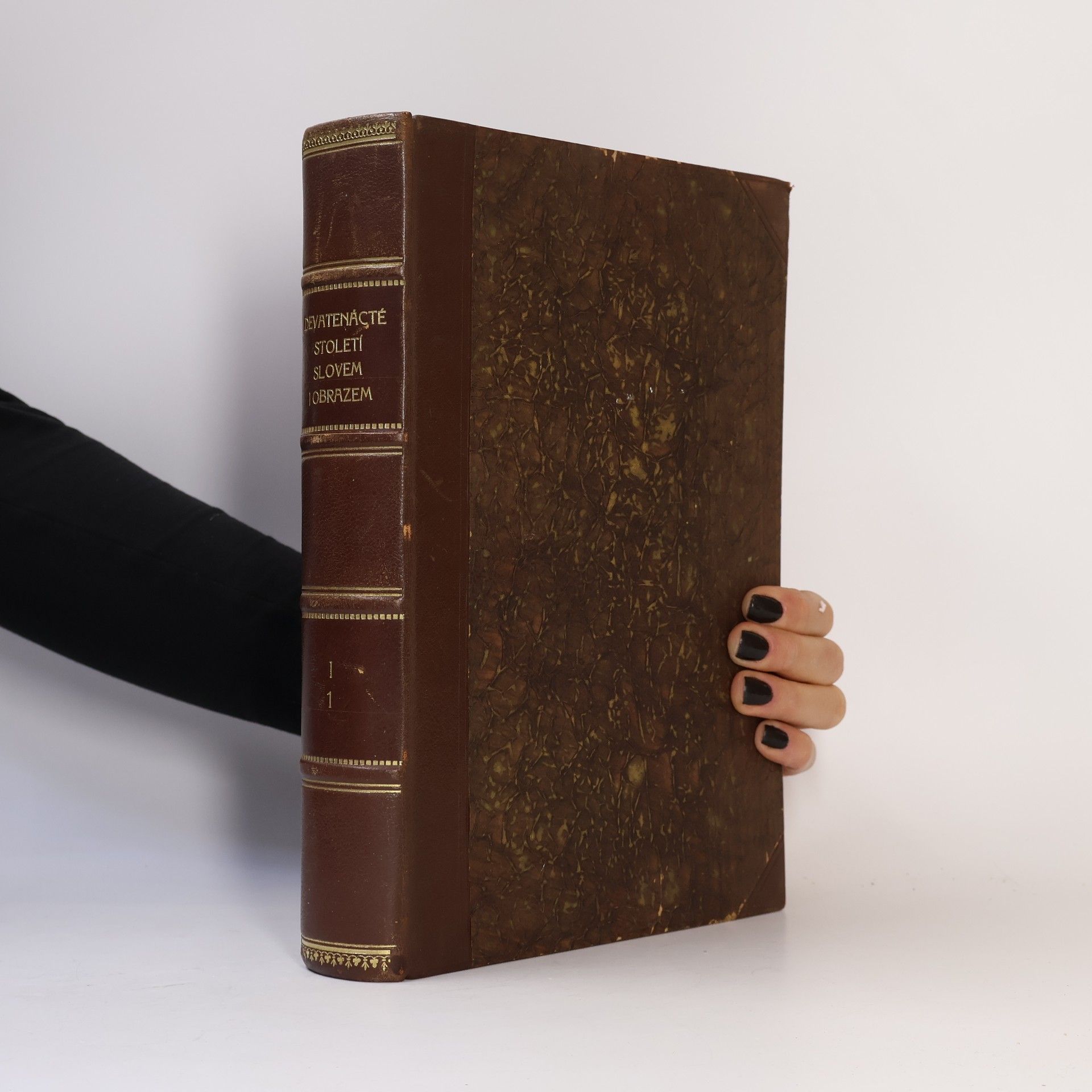 Jan Klecanda Devatenácté století slovem i obrazem. Díl II. Svazek I.