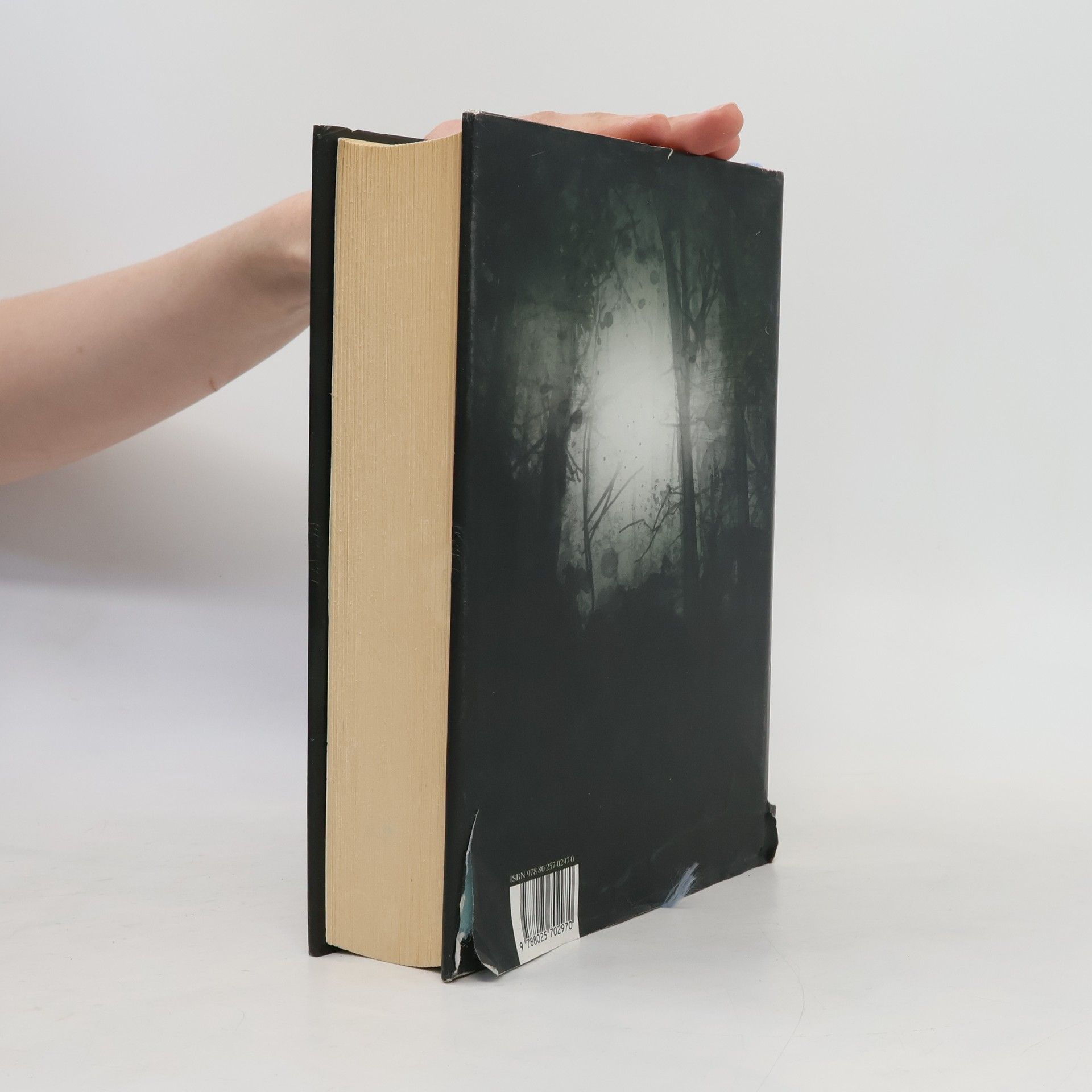 Tana French V lesích