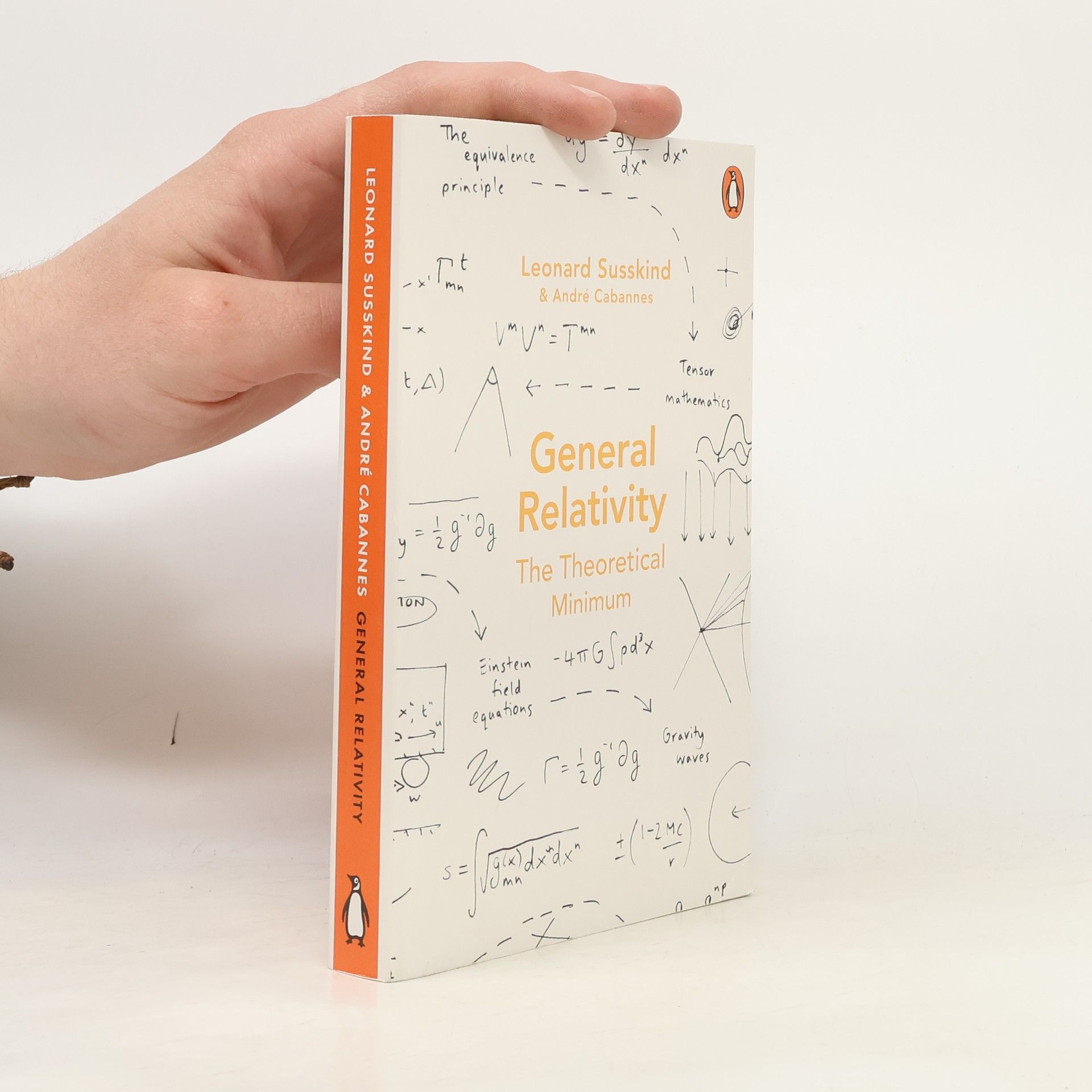 Leonard Susskind General Relativity