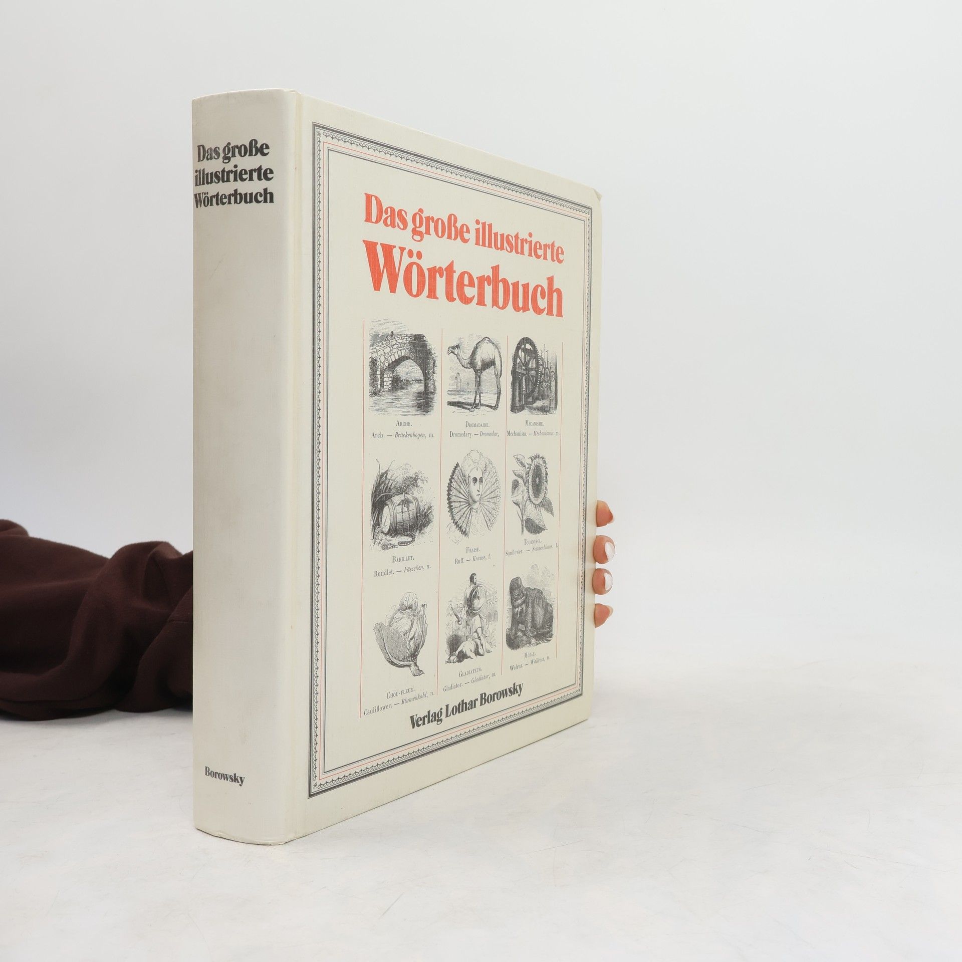 Autorenkollektiv Das große illustrierte Wörterbuch