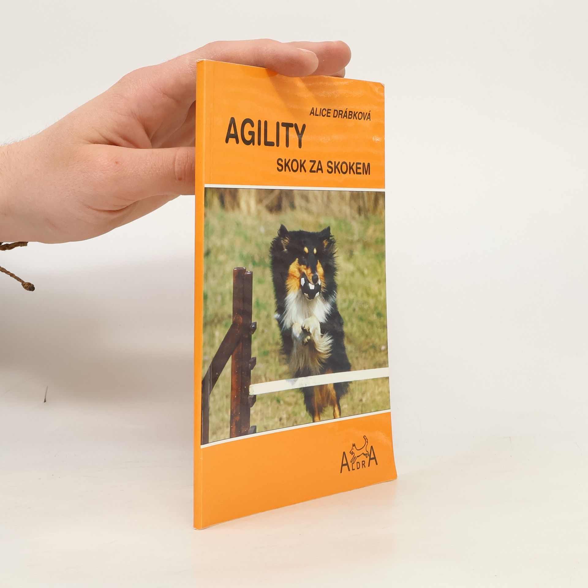 Alice Drábková Agility skok za skokem