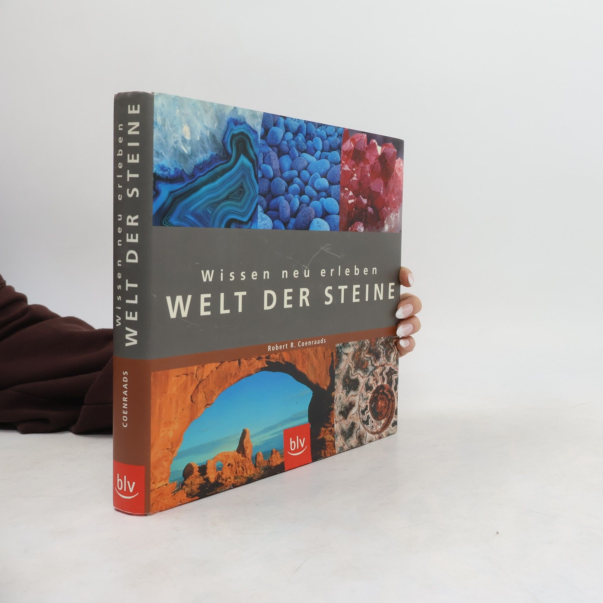 Robert Raymond Coenraads Welt der Steine