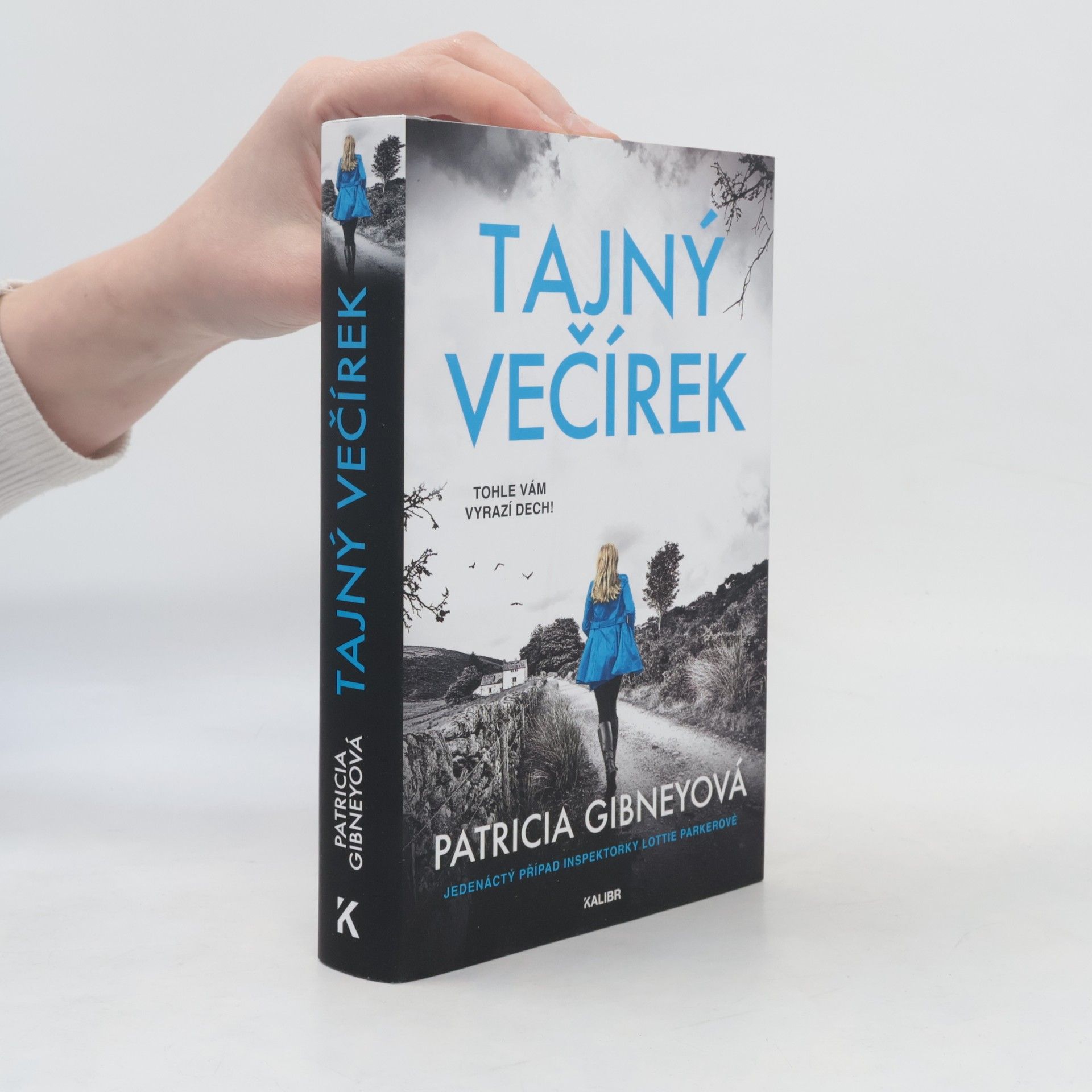 Patricia Gibney Tajný večírek