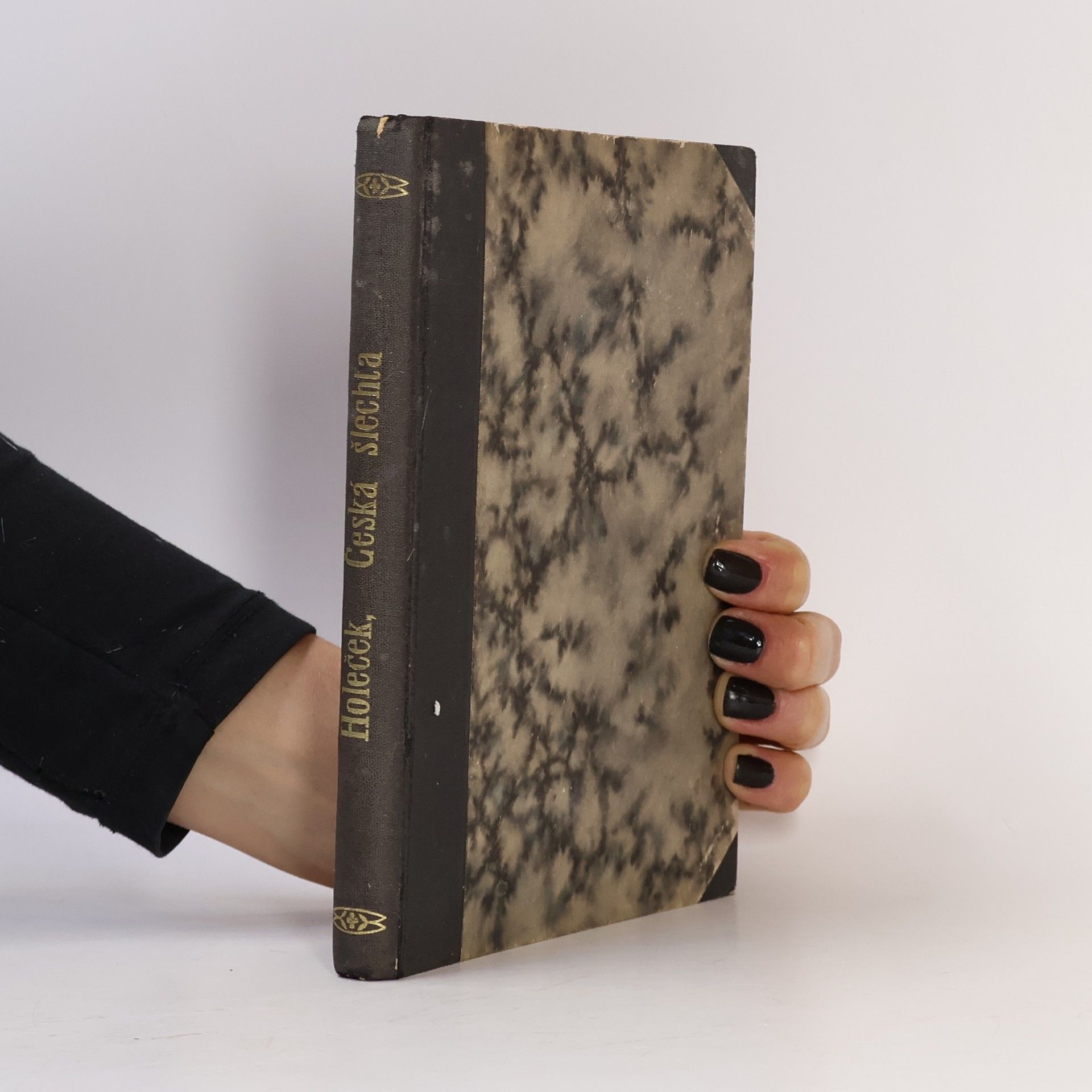 Josef Holeček Česká šlechta