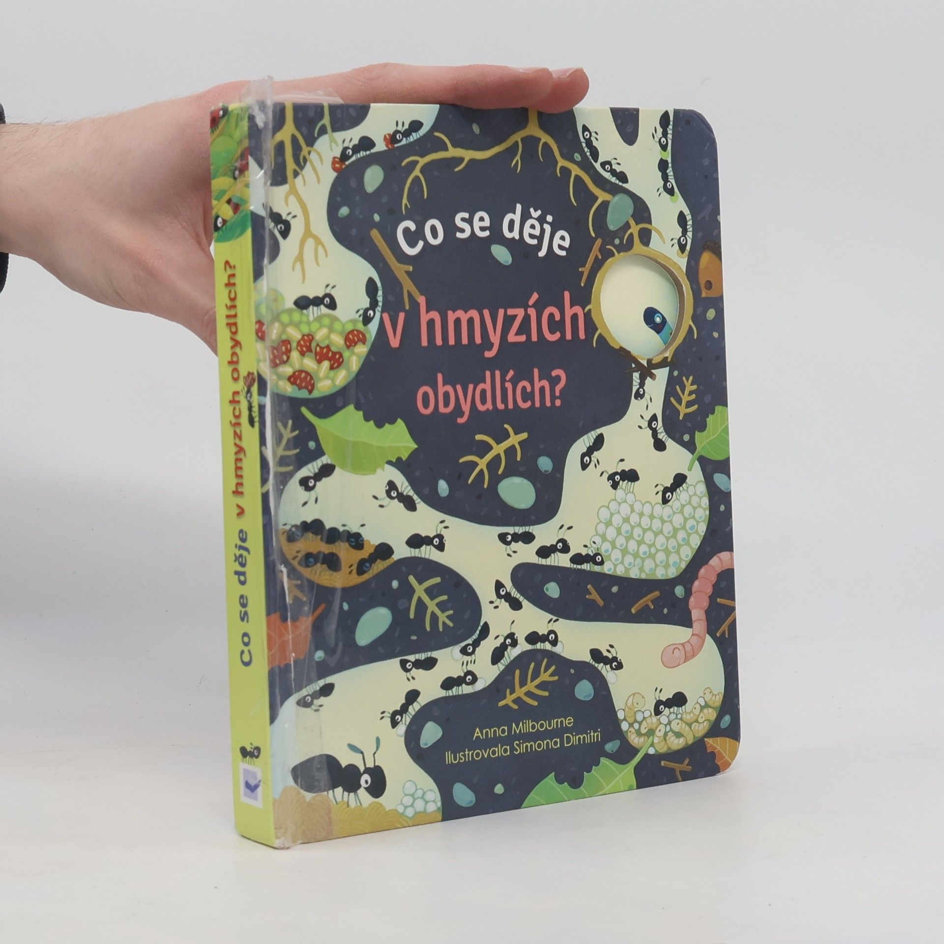 Anna Milbourne Co se děje v hmyzích obydlích?