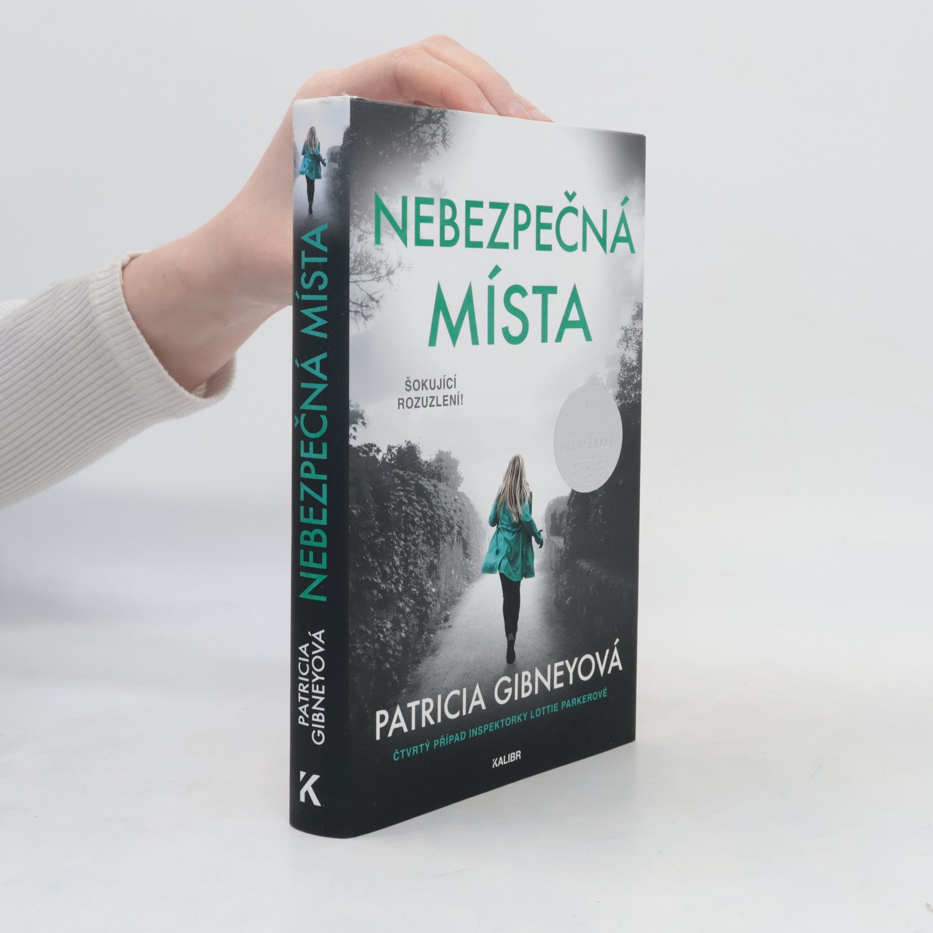 Patricia Gibney Nebezpečná místa