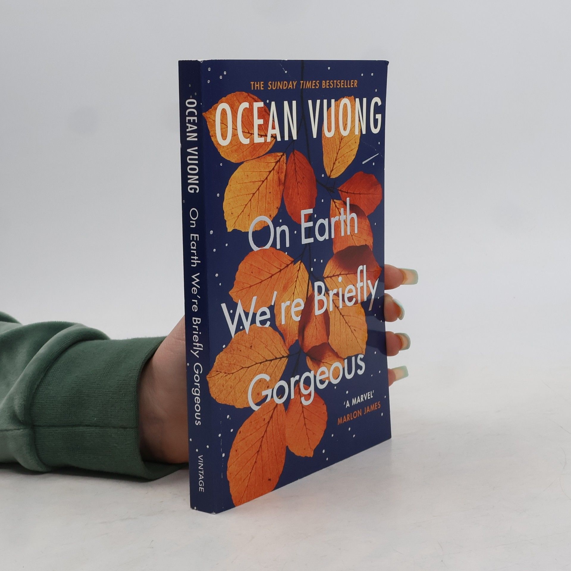 Ocean Vuong On Earth We're Briefly Gorgeous