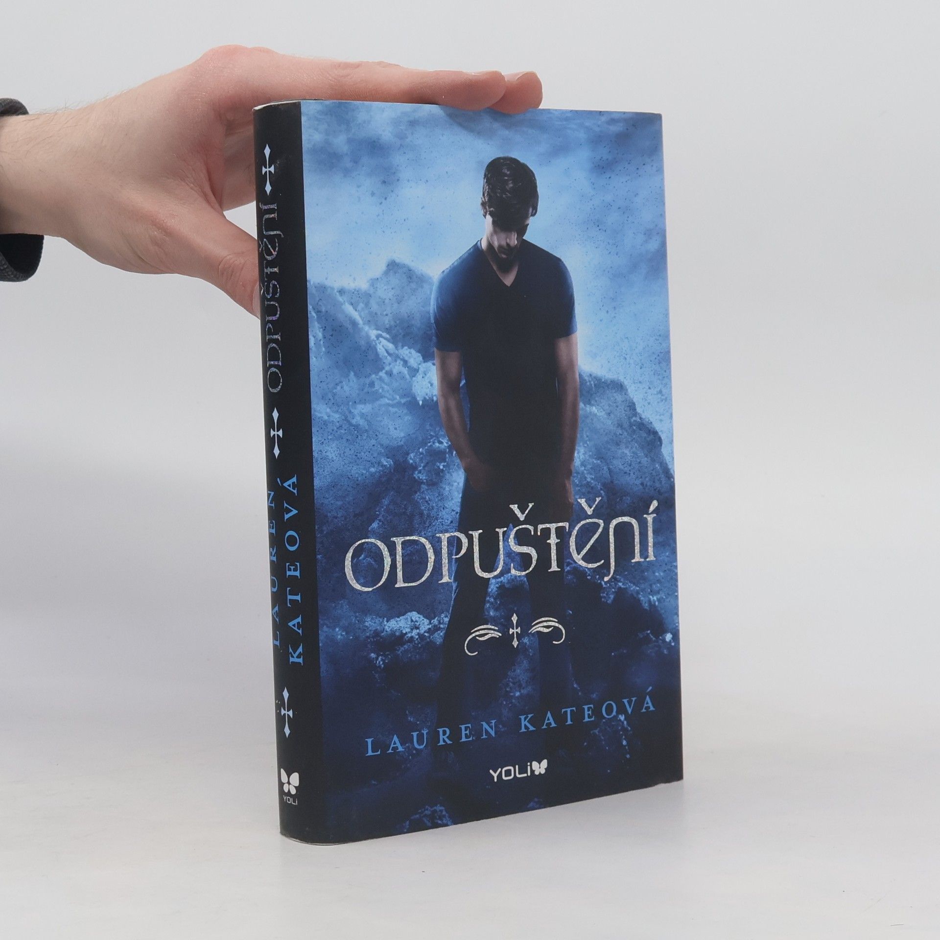 Lauren Kate Odpuštění