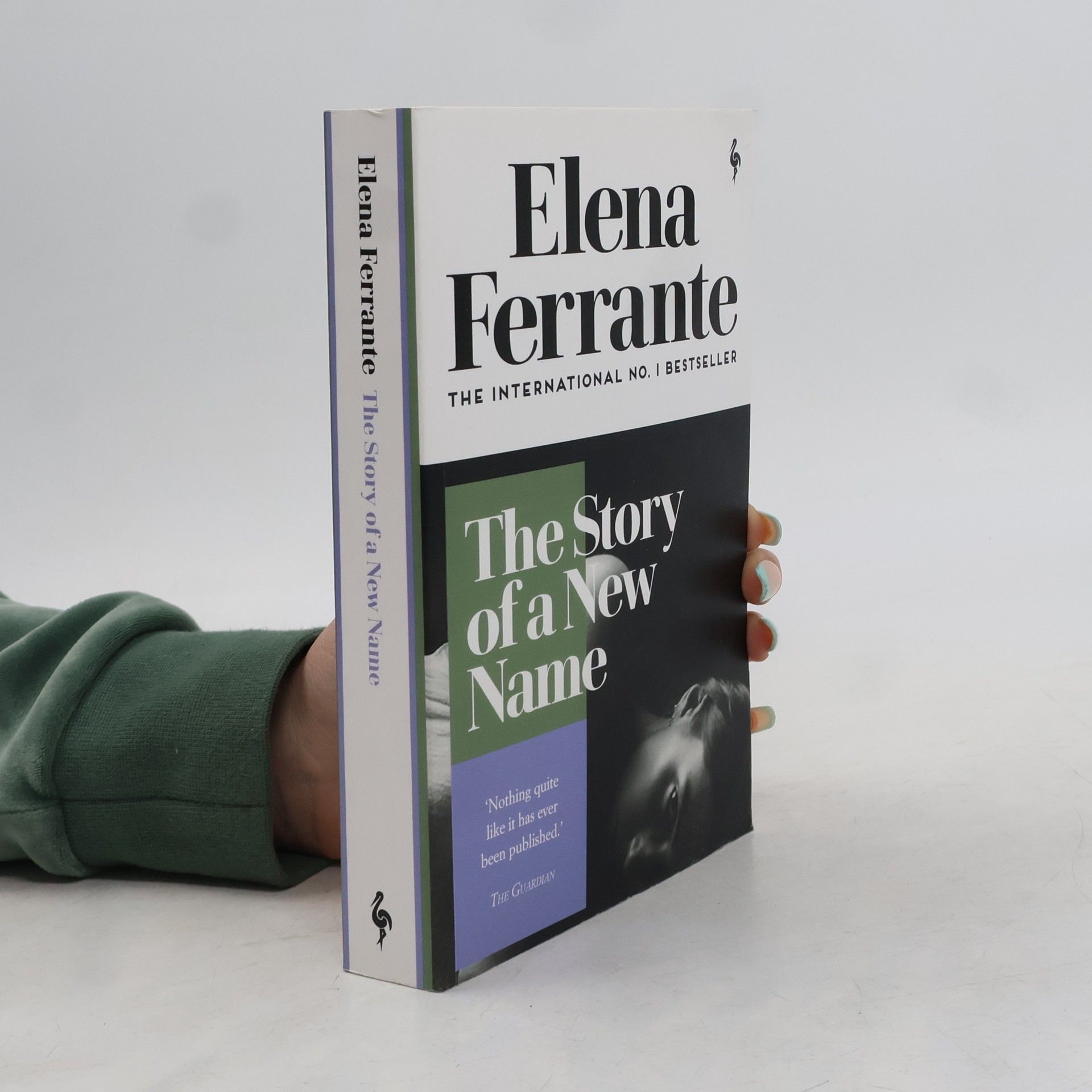Elena Ferrante The Story of a New Name