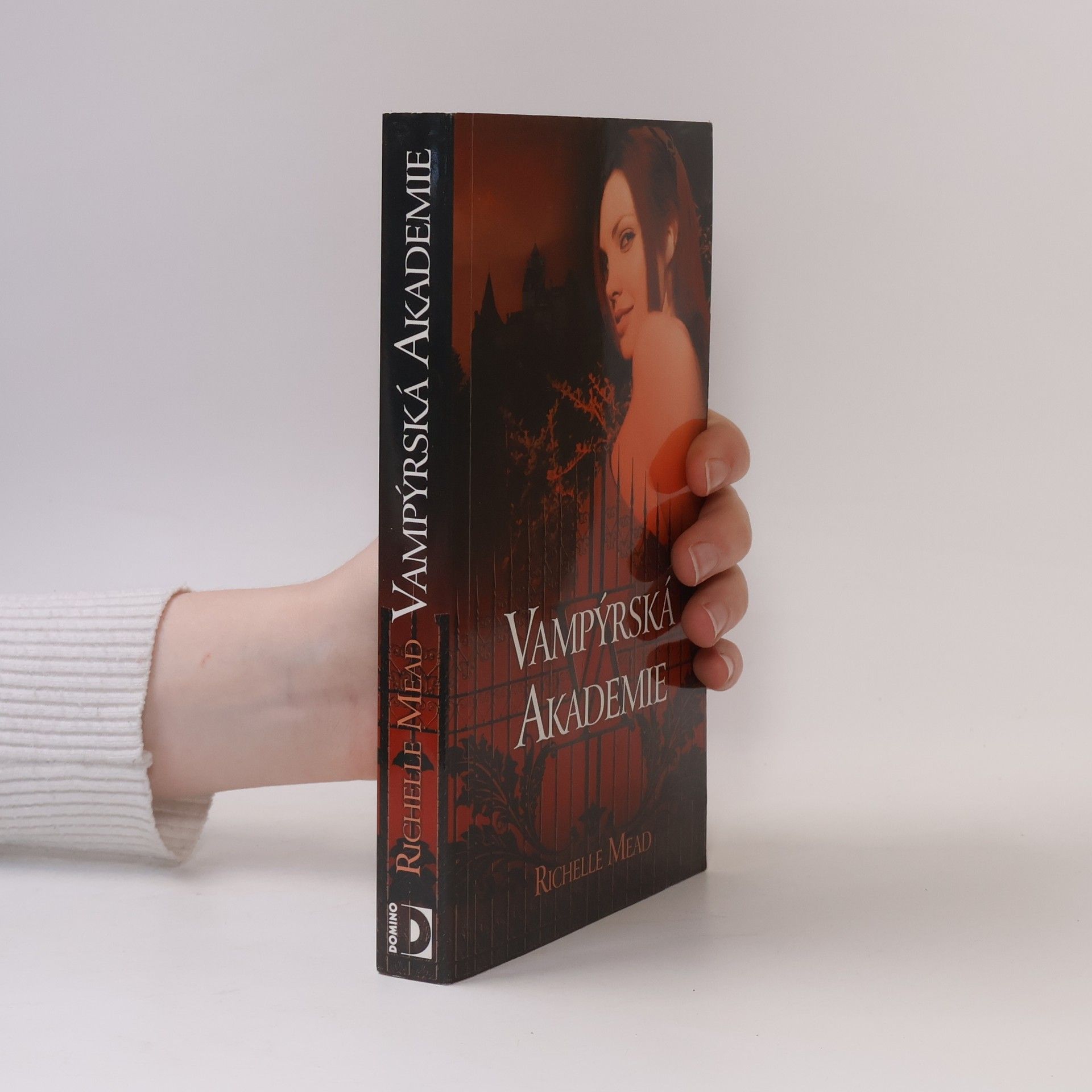 Richelle Mead Vampýrská akademie