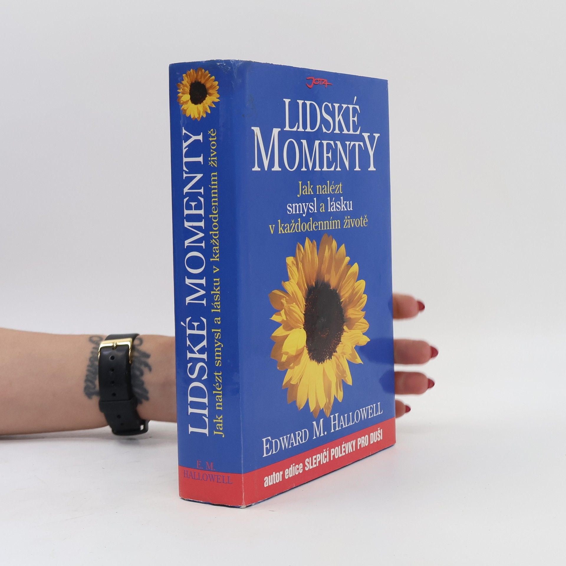 Edward Hallowell Lidské momenty. Jak nalézt smysl a lásku v každodenním životě