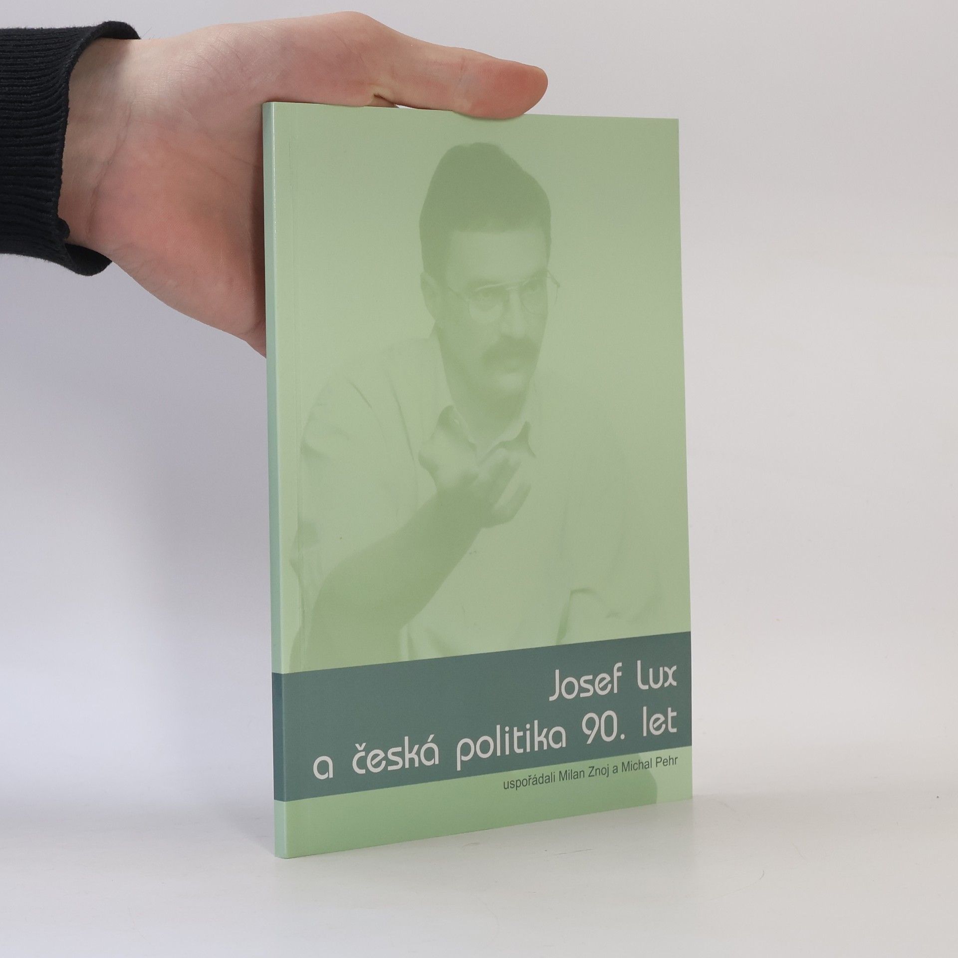Michal Pehr Josef Lux a česká politika 90. let