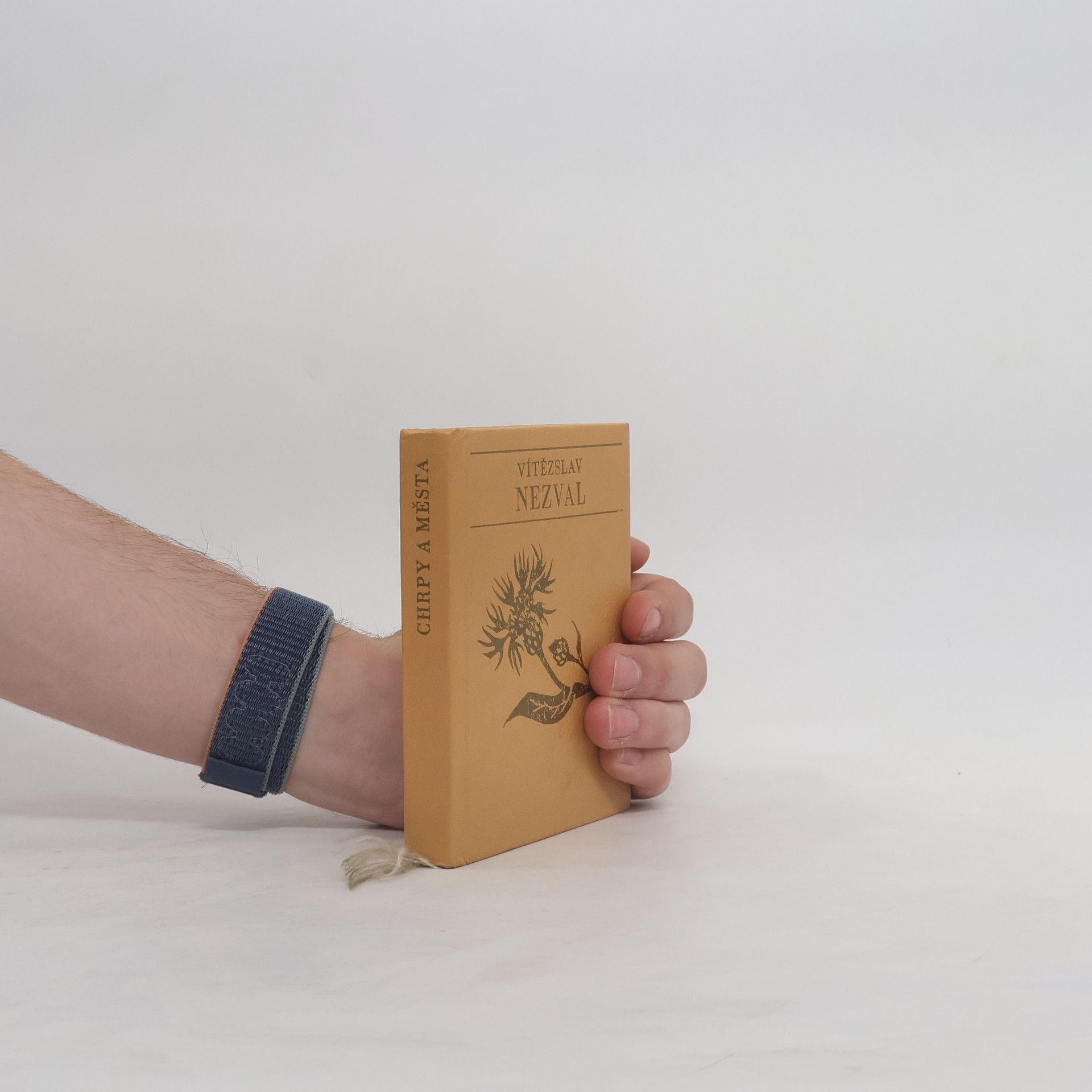 Vítězslav Nezval Chrpy a města