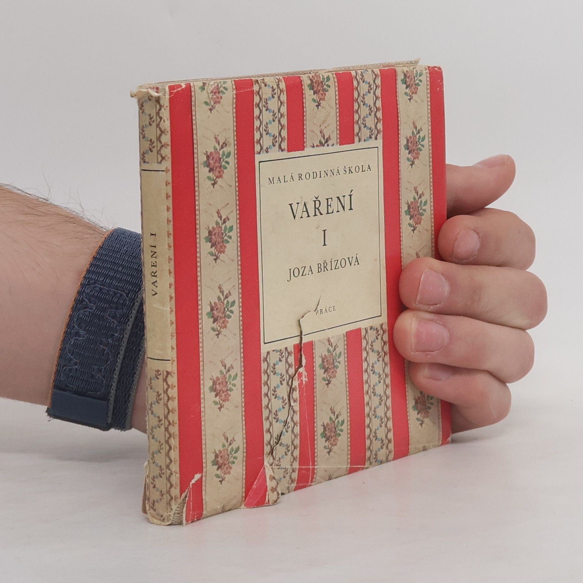 Joza Břízová Malá rodinná škola. Vaření I.