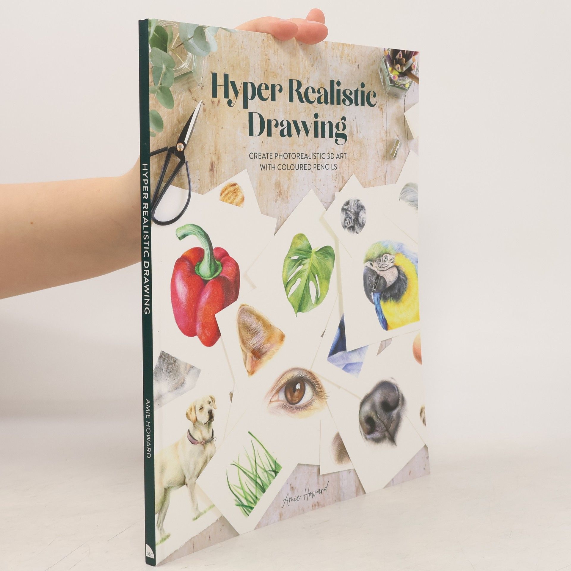 Amie Howard Hyper Realistic Drawing