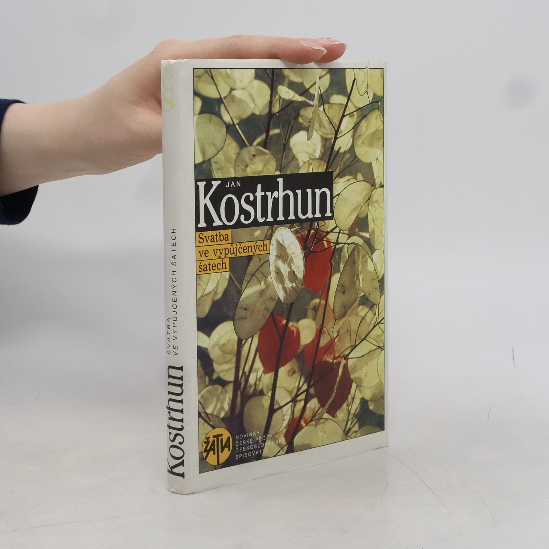 Jan Kostrhun Svatba ve vypůjčených šatech