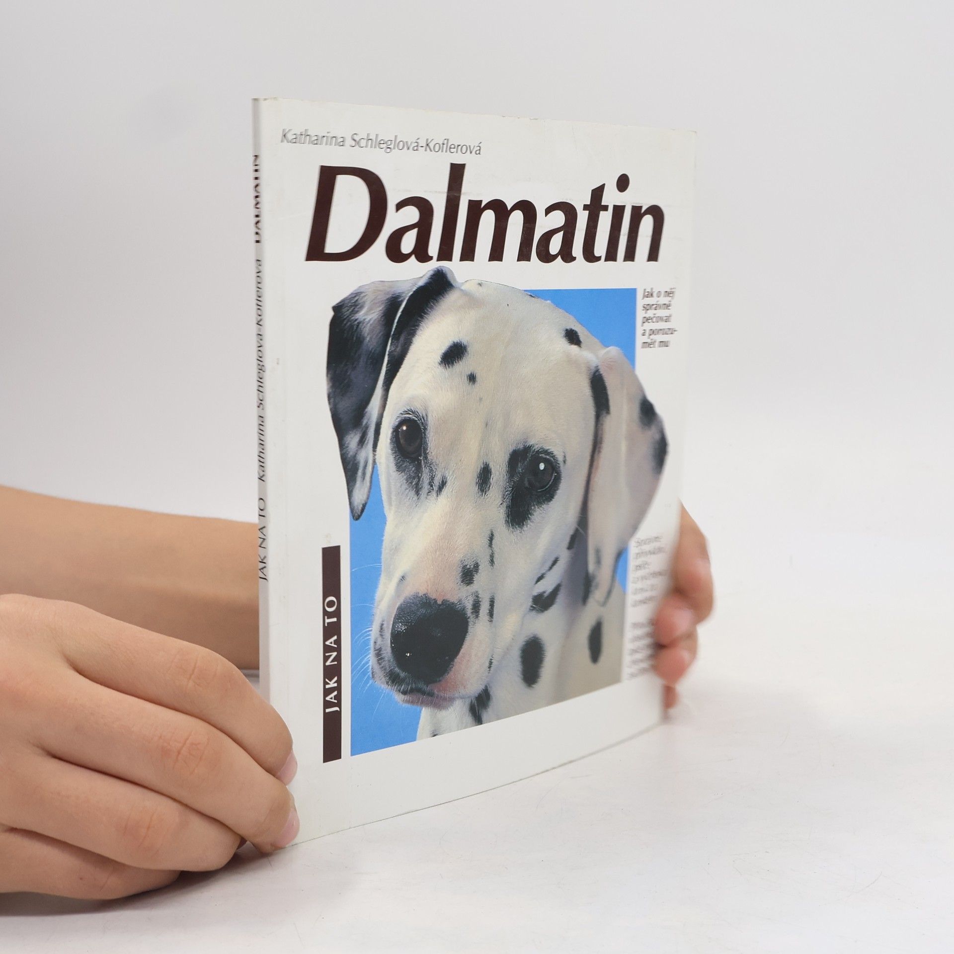 Katharina Schleg Kofler Dalmatin