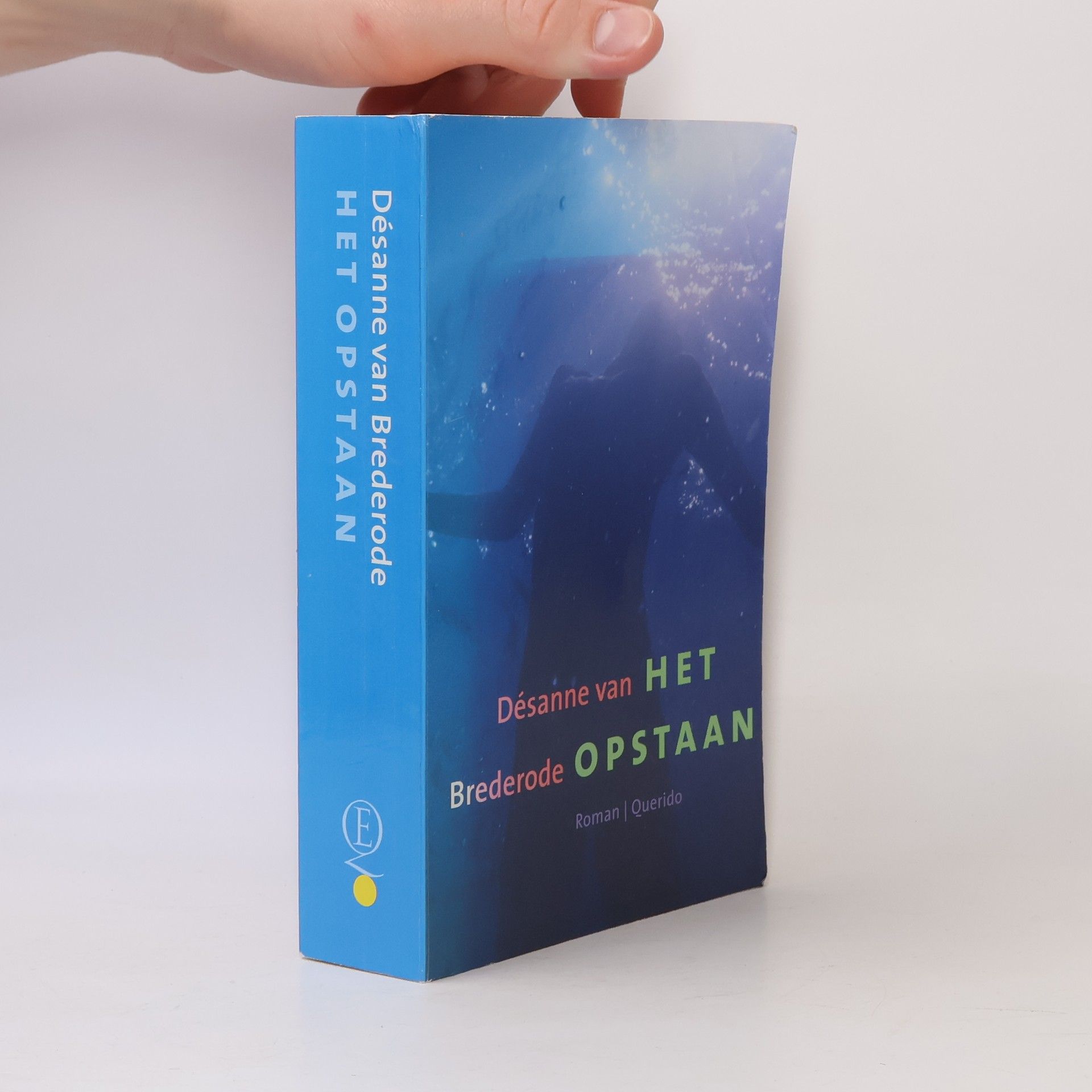 Désanne van Brederode Het opstaan