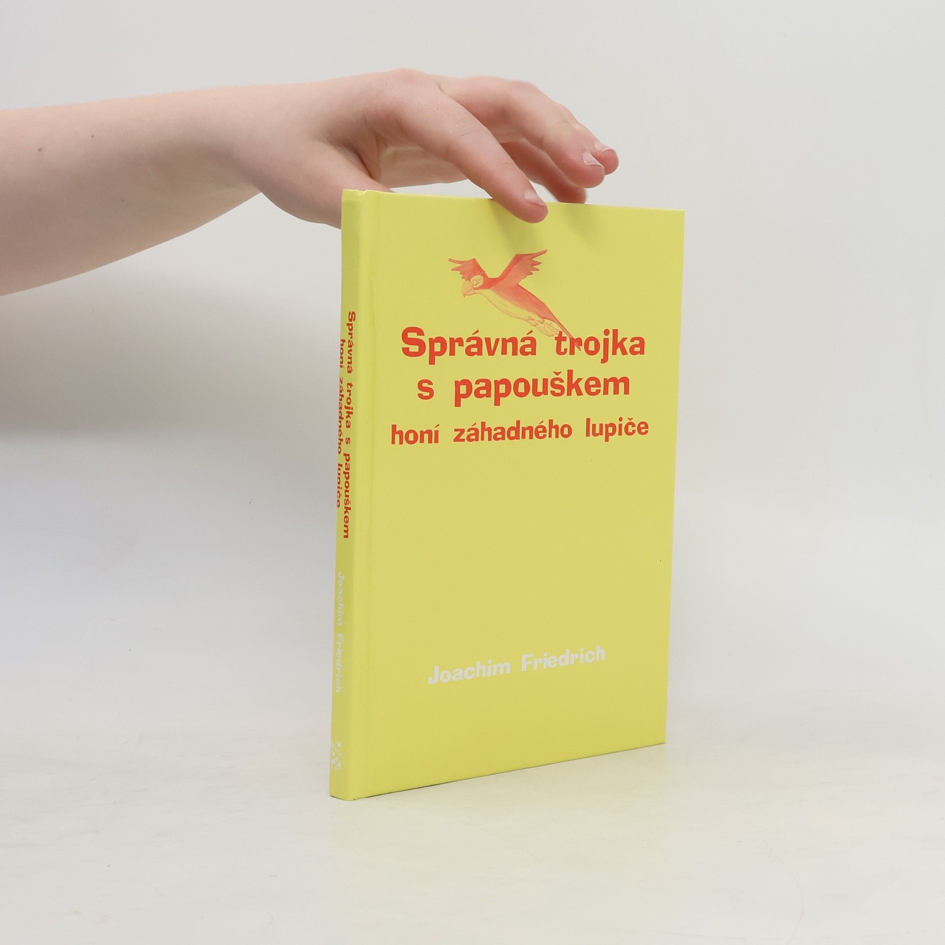 Joachim-Friedrich Kapp Správná trojka s papouškem honí záhadného lupiče