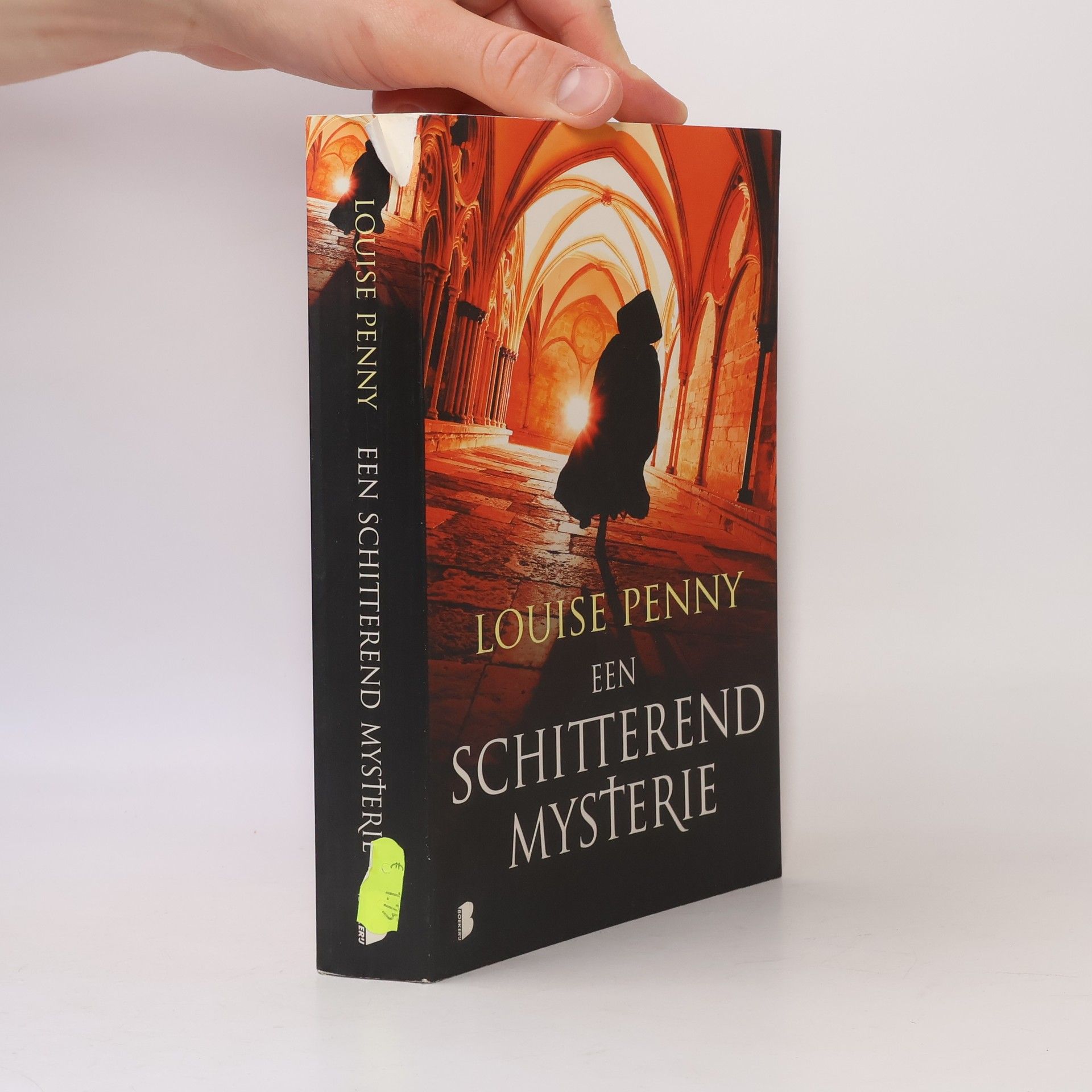 Susan Ridder Een schitterend mysterie