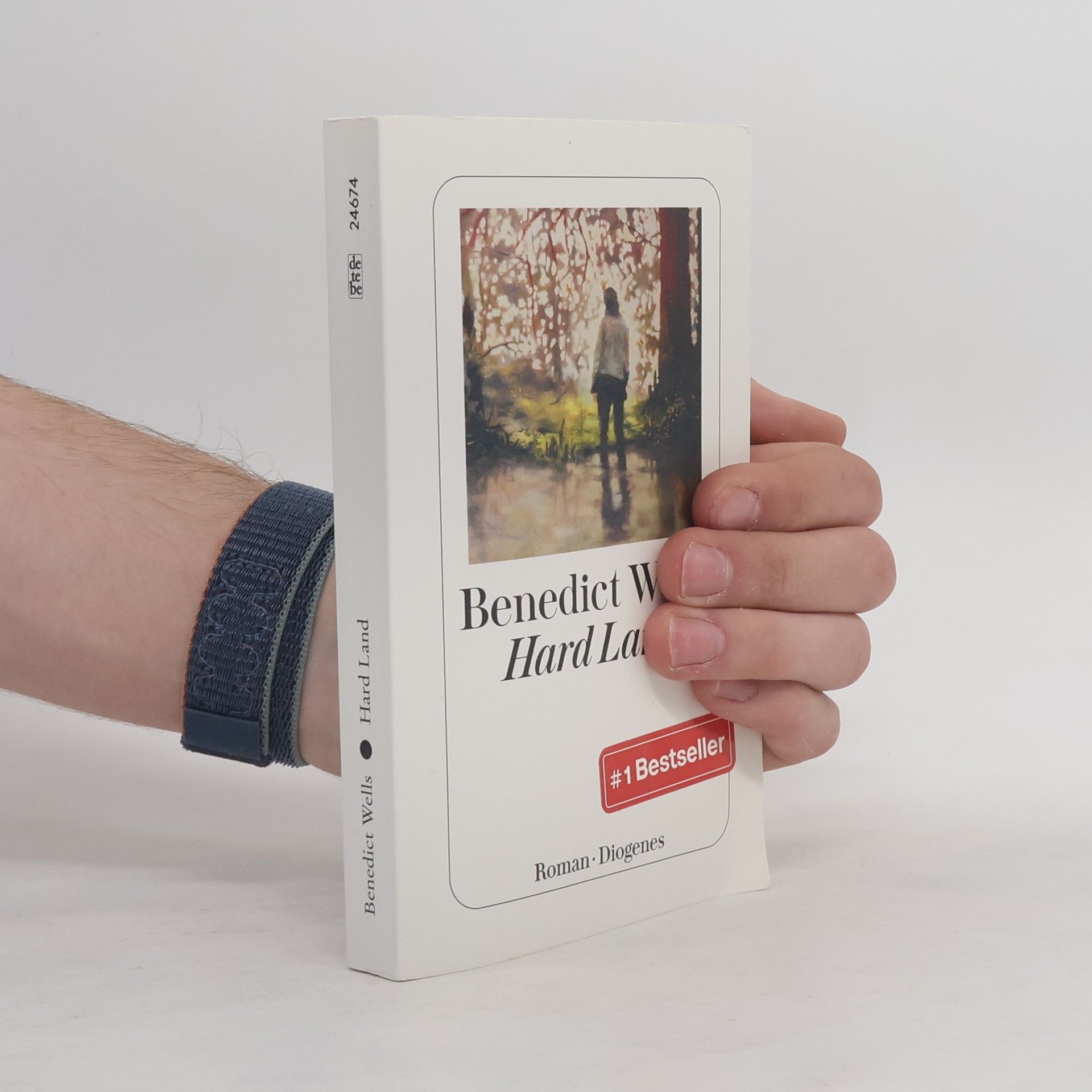 Benedict Wells Hard Land