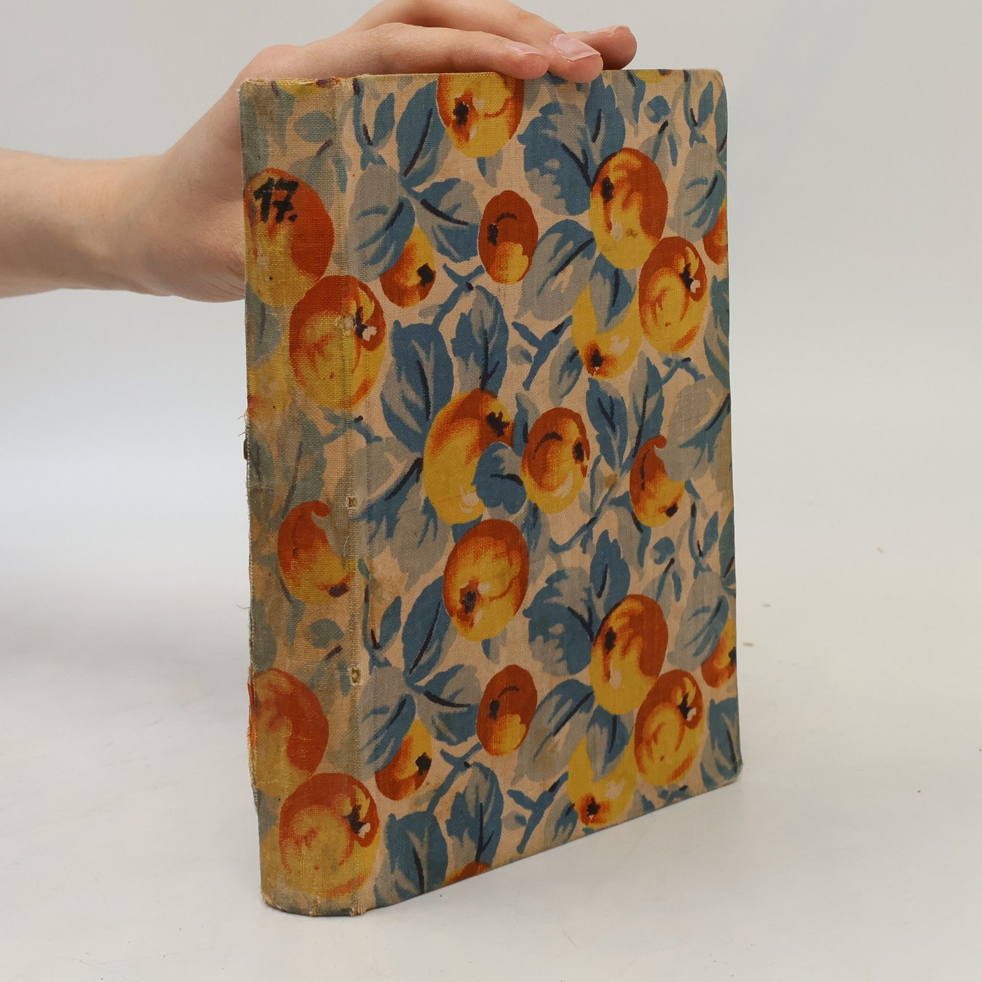 Karl May V zemi skipetarů