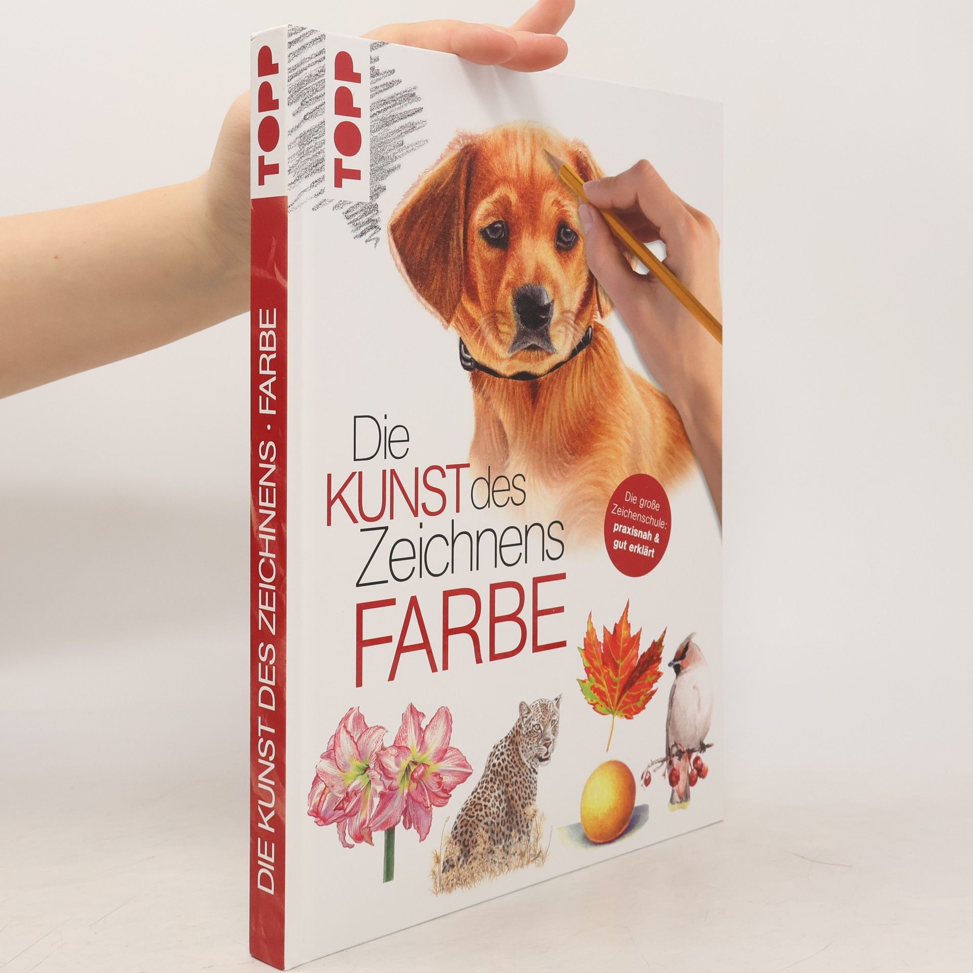 Autorenkollektiv Die Kunst des Zeichnens Farbe
