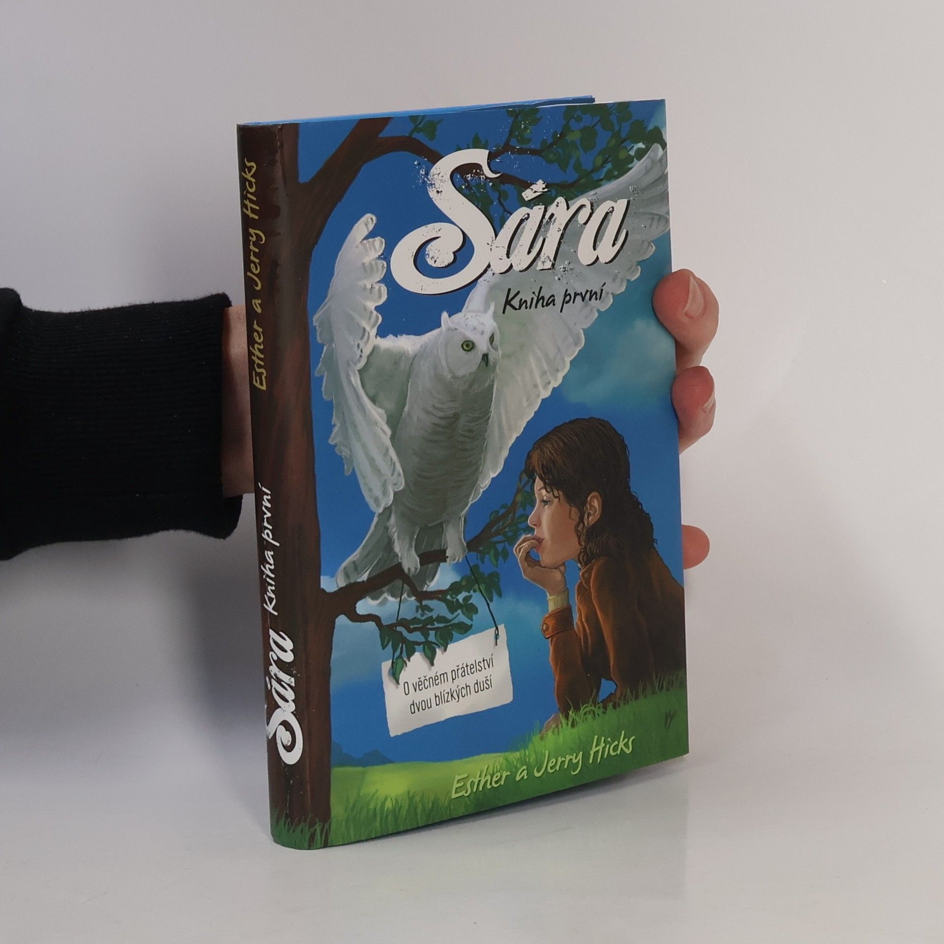 Esther Hicks Sára. Kniha první, O věčném přátelství dvou blízkých duší