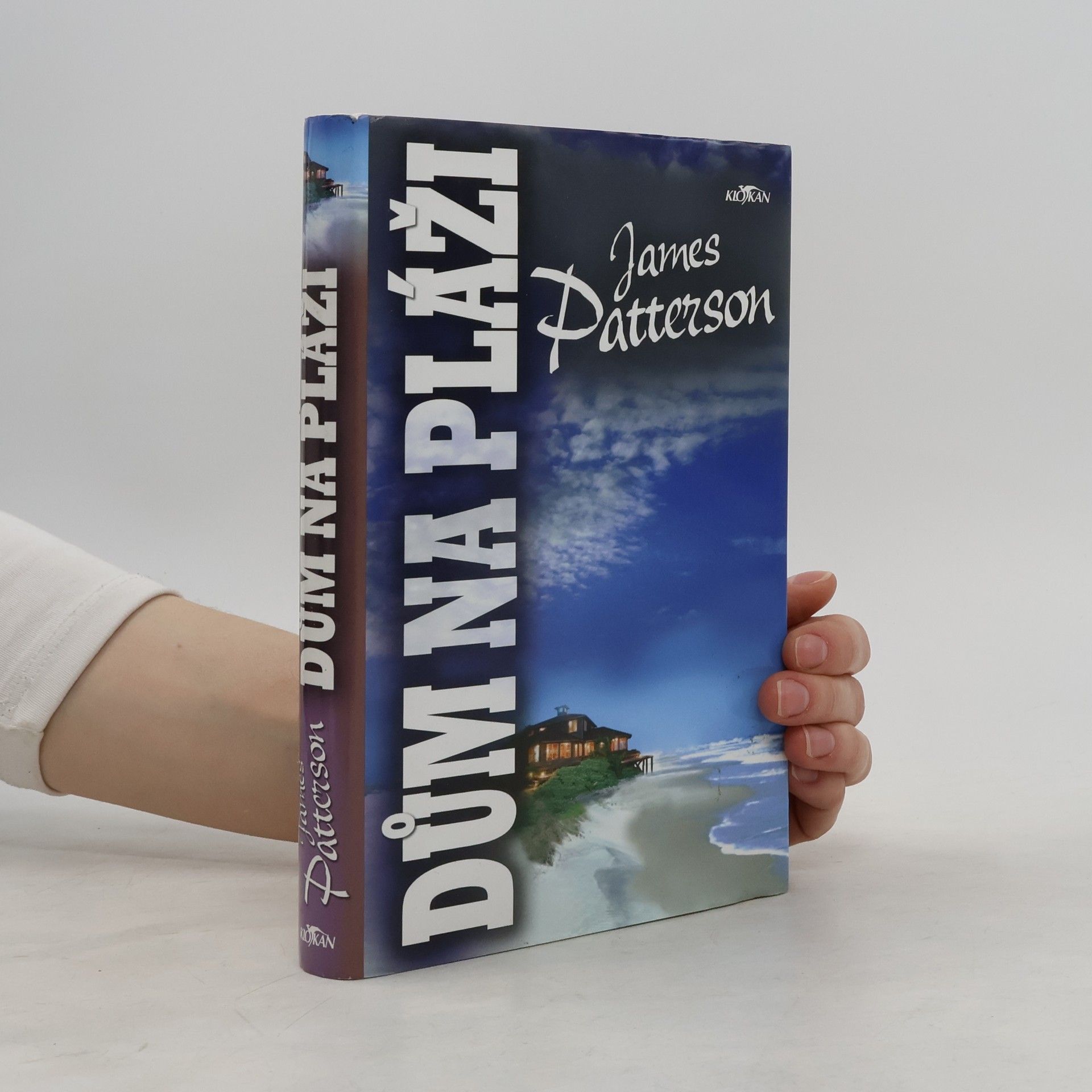 James Patterson Dům na pláži