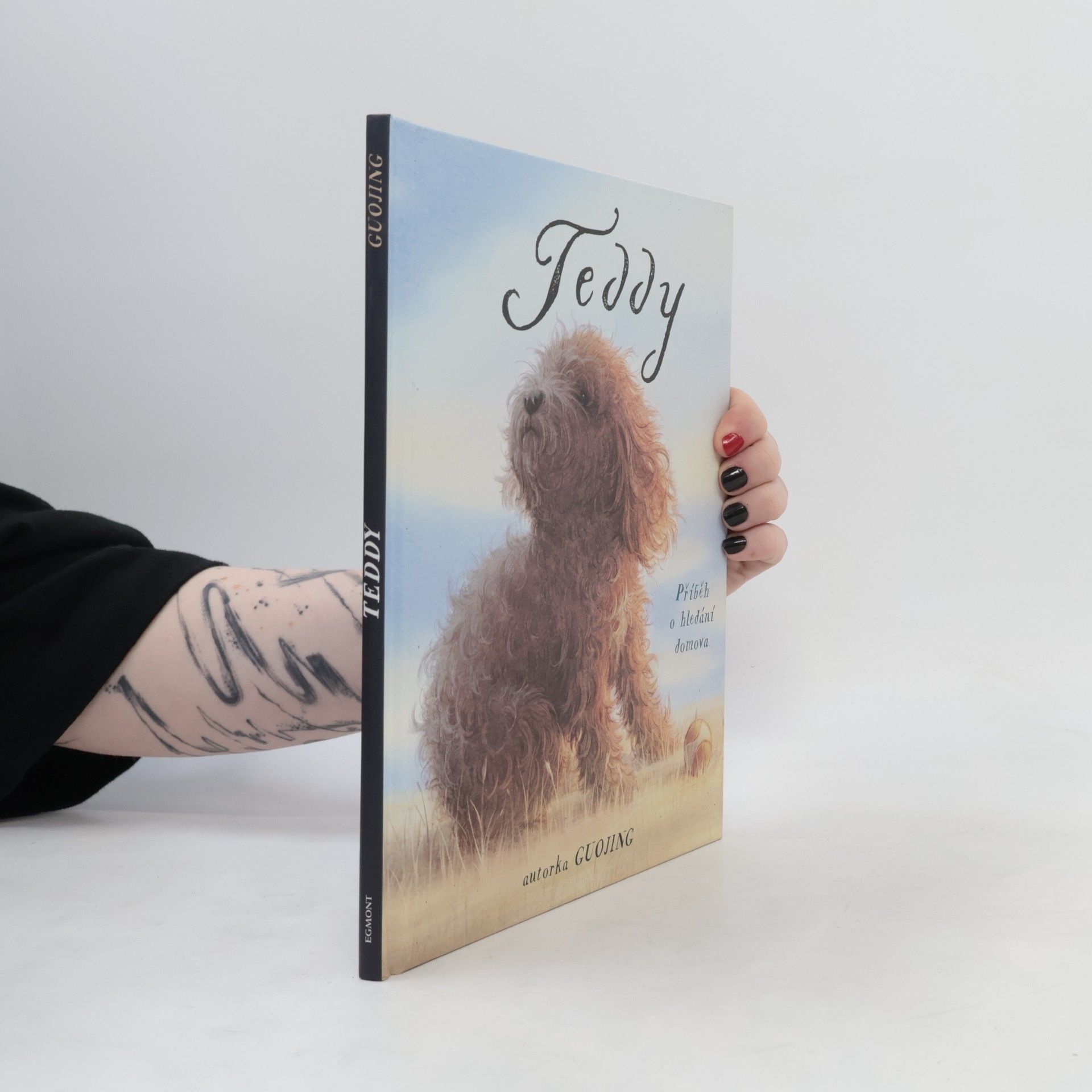 Teddy : příběh o hledání domova