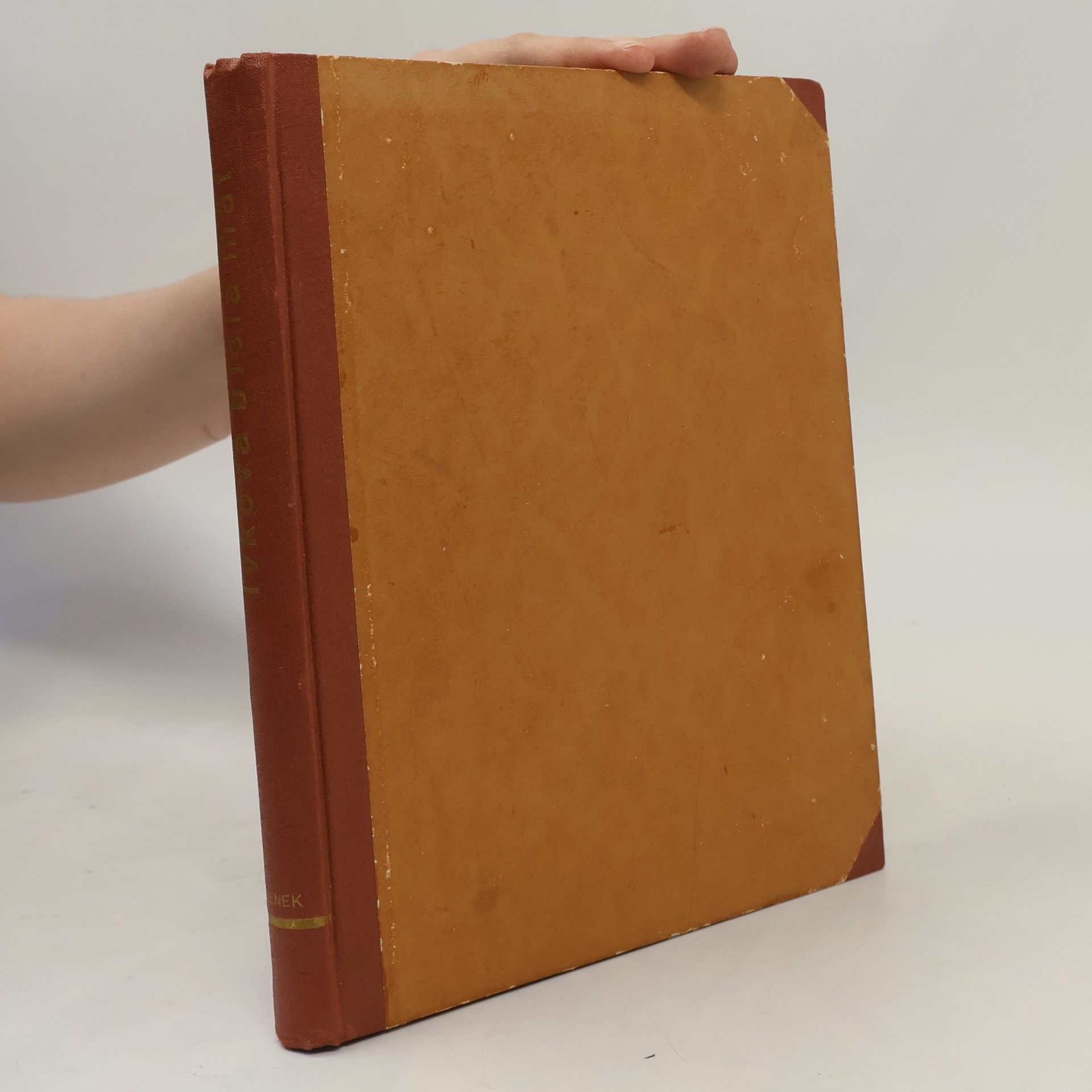 Ján Bodenek Ivkova biela mať