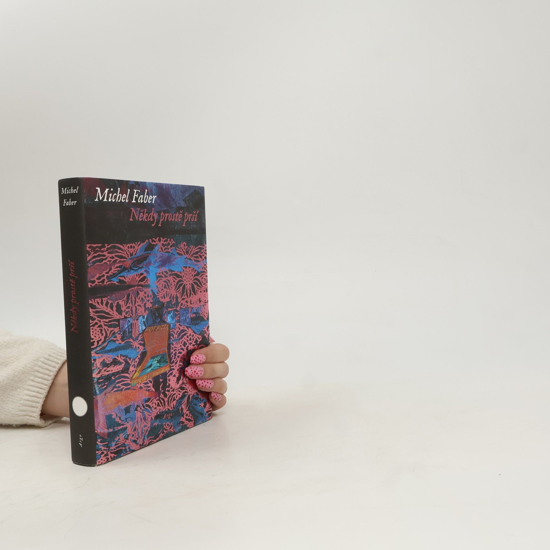 Michel Faber Někdy prostě prší