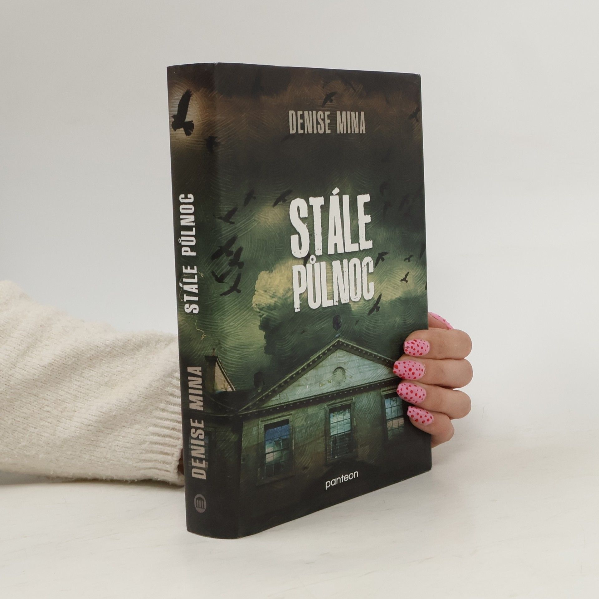 Denise Mina Stále půlnoc