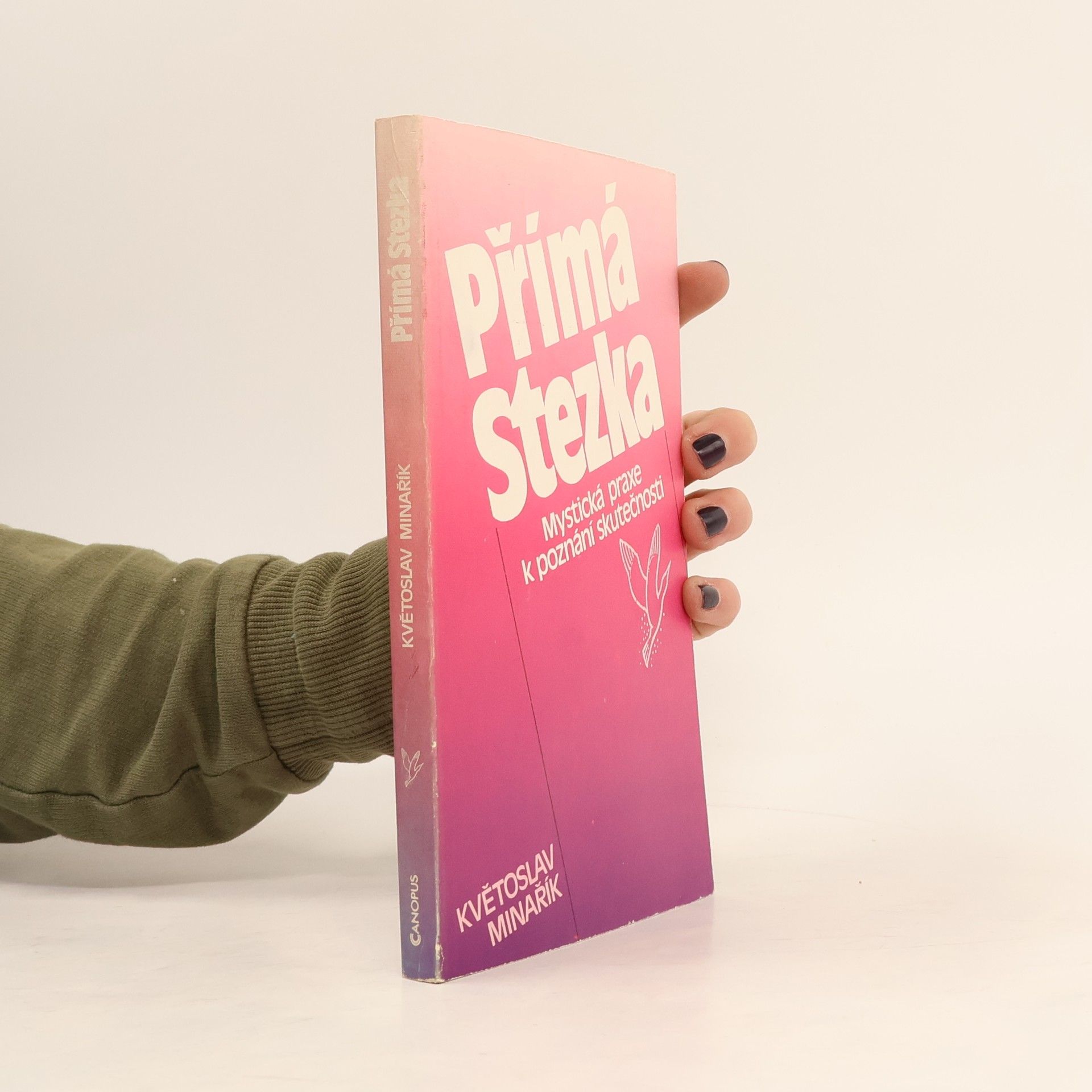 Kvetoslav Minarik Přímá stezka