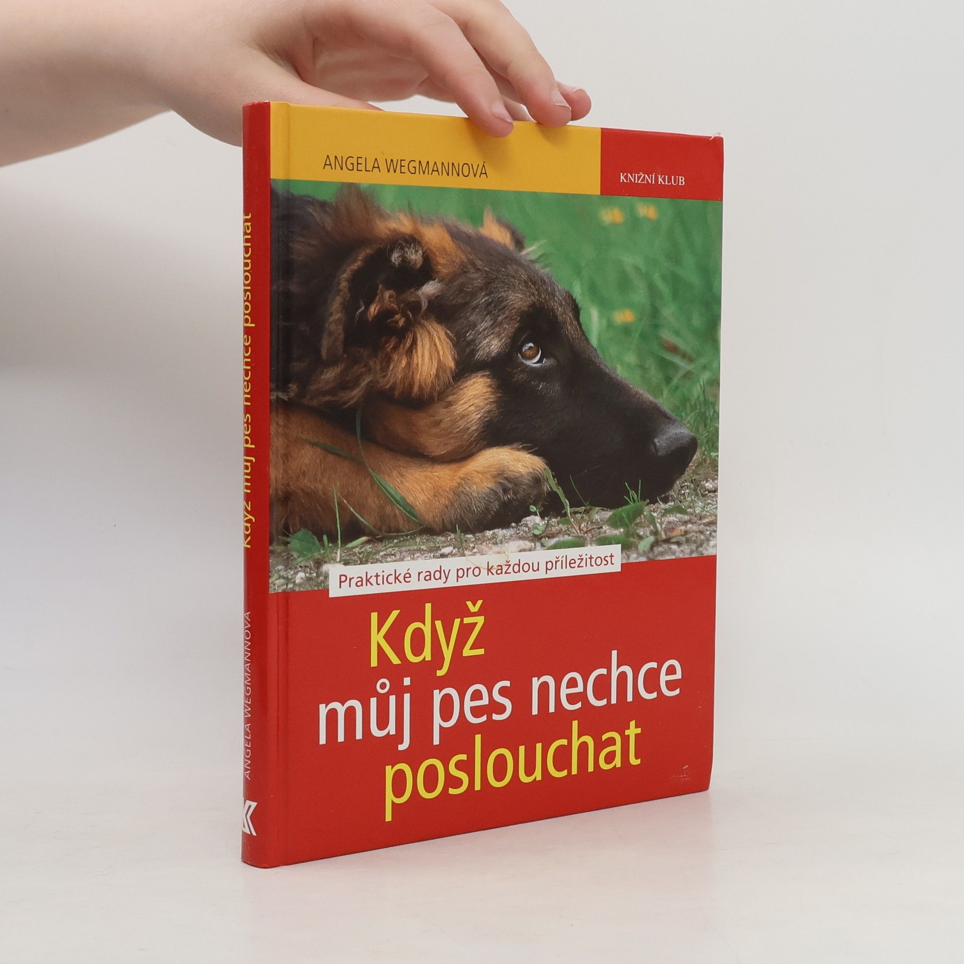 Angela Wegmann Když můj pes nechce poslouchat: Praktické rady pro každou příležitost