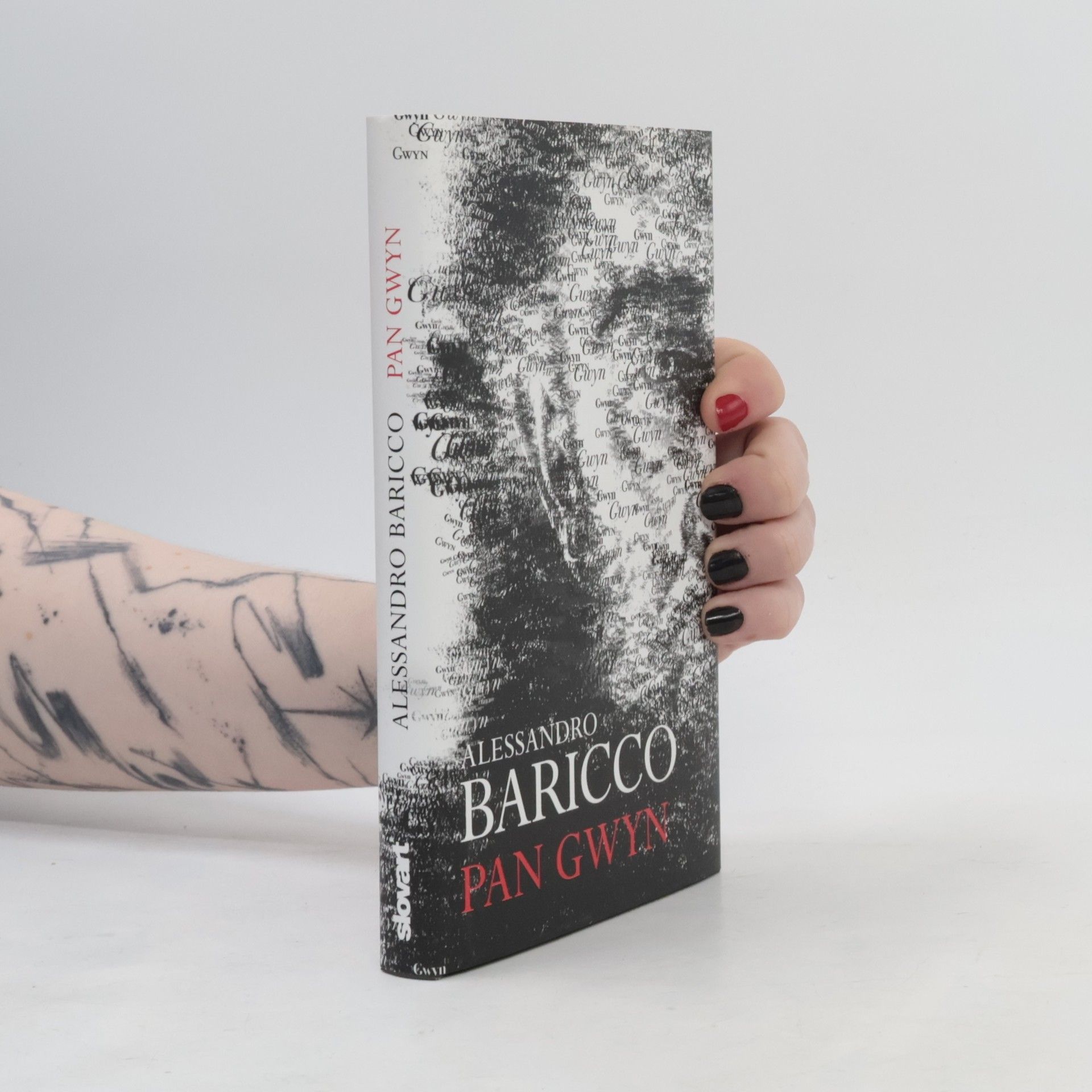 Alessandro Baricco Pan Gwyn
