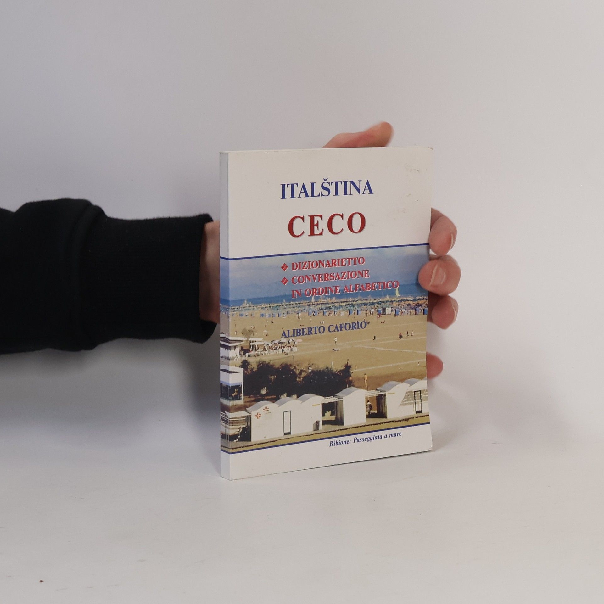 Aliberto Caforio Dizionario turistico ceco
