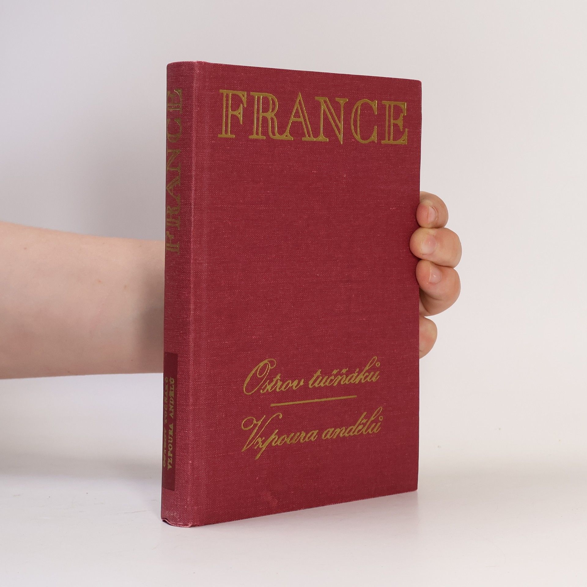 Anatole France Ostrov tučňáků. Vzpoura andělů