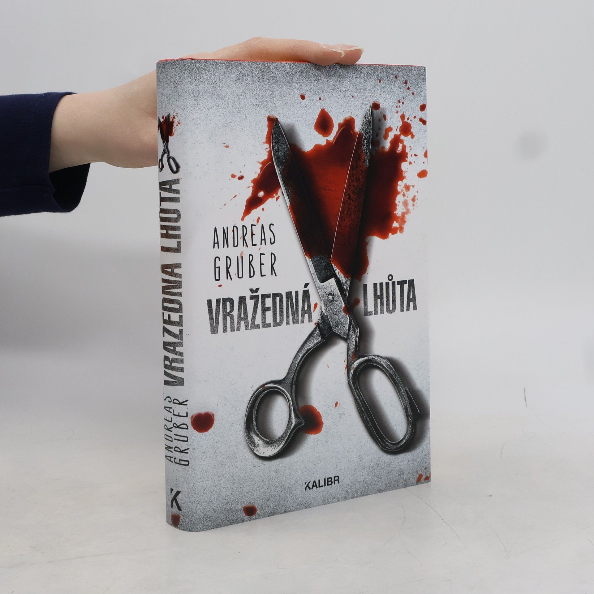 Andreas Gruber Vražedná lhůta
