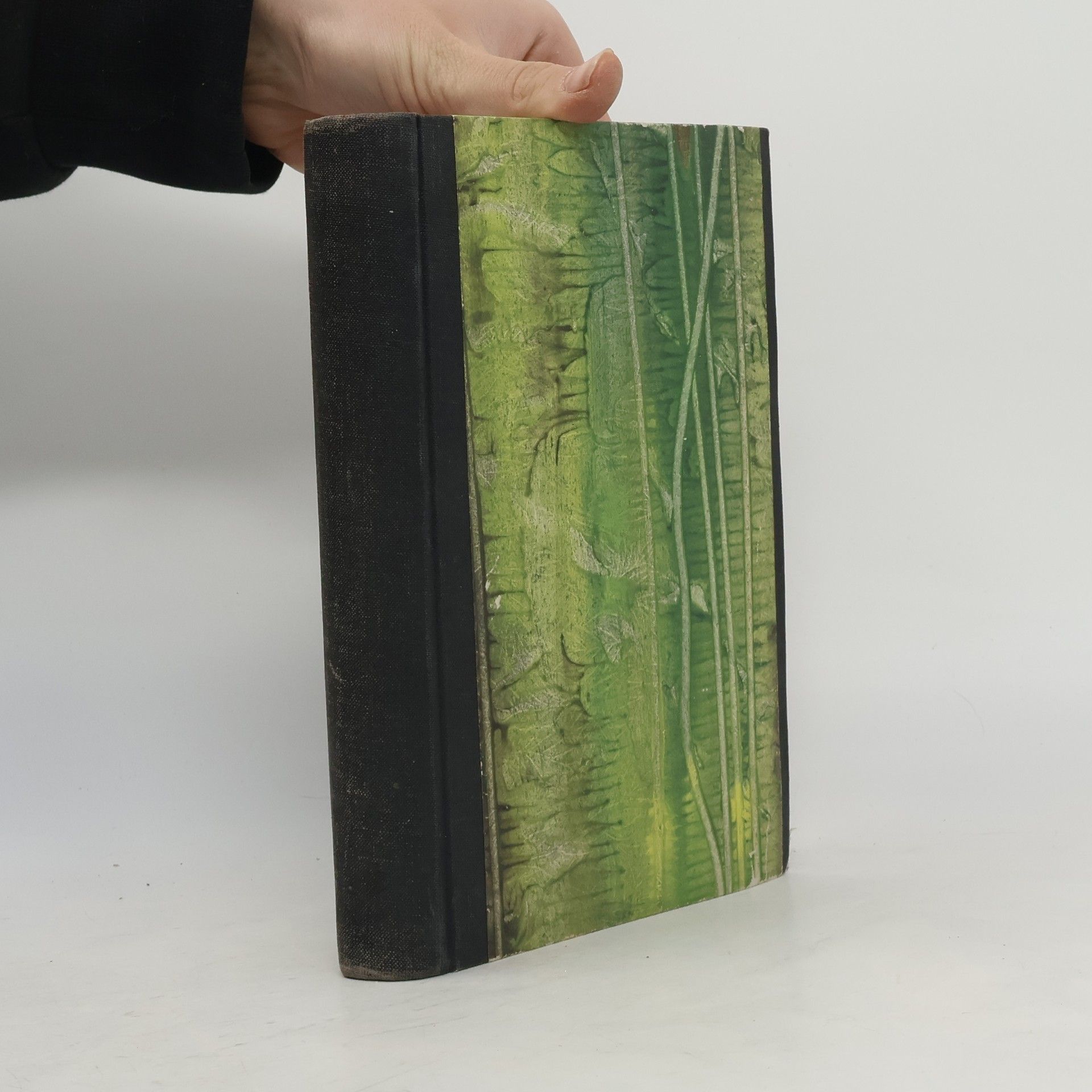 Robert Briffault Evropa v agonii