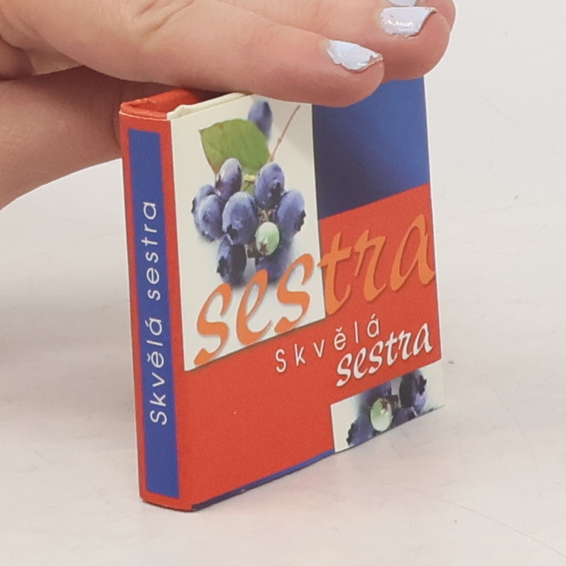 Kolektiv autorů Skvělá sestra