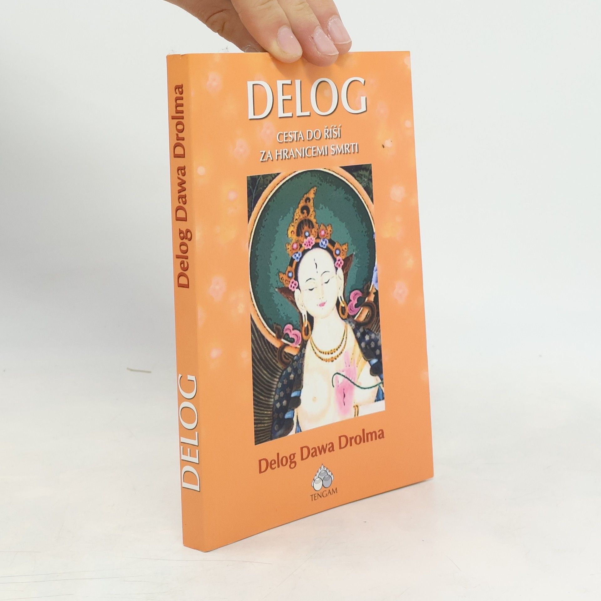 Delog Dawa Drolma Delog: Cesta do říší za hranicemi smrti
