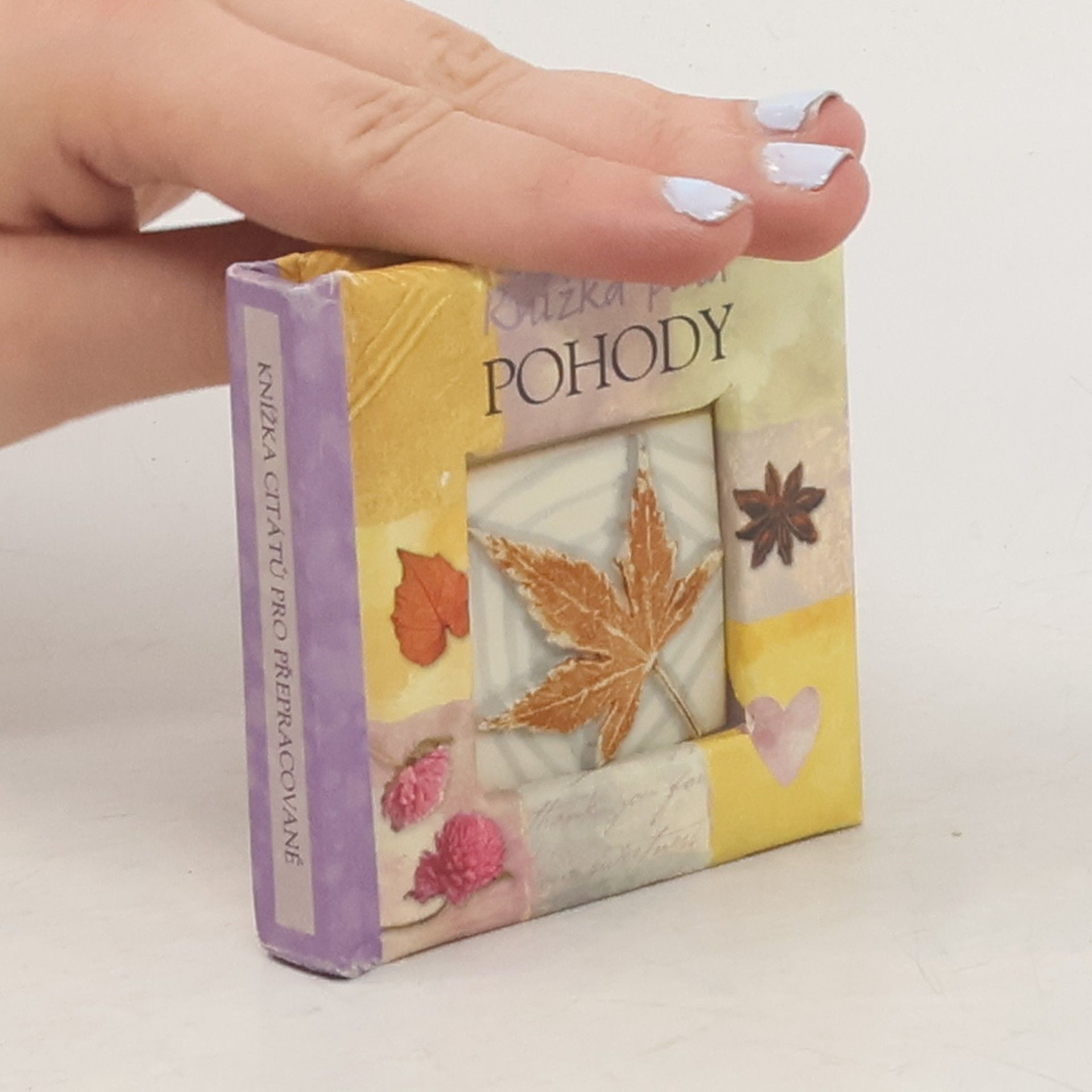 Kolektiv autorů Knížka plná pohody. Malá knížka citátů